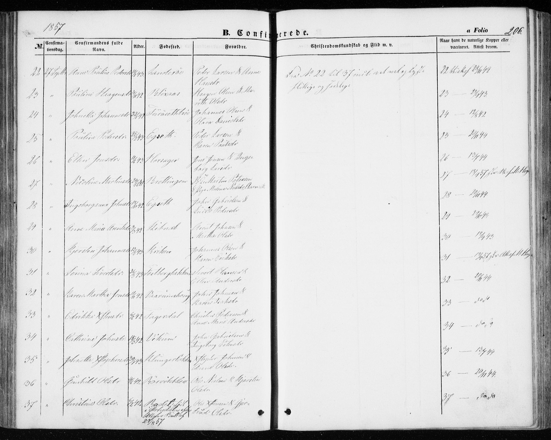 Ministerialprotokoller, klokkerbøker og fødselsregistre - Sør-Trøndelag, AV/SAT-A-1456/646/L0611: Parish register (official) no. 646A09, 1848-1857, p. 206