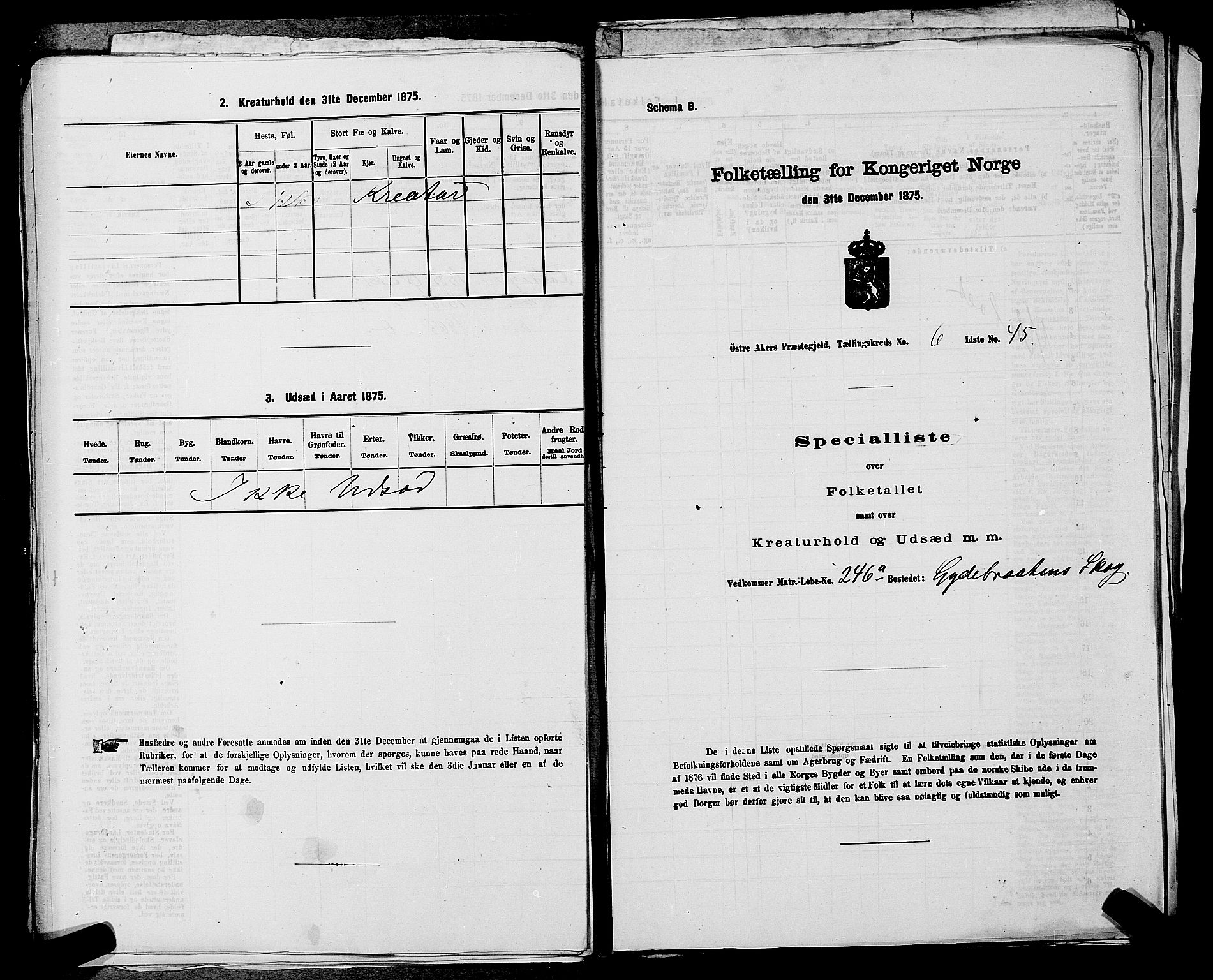 RA, 1875 census for 0218bP Østre Aker, 1875, p. 1616