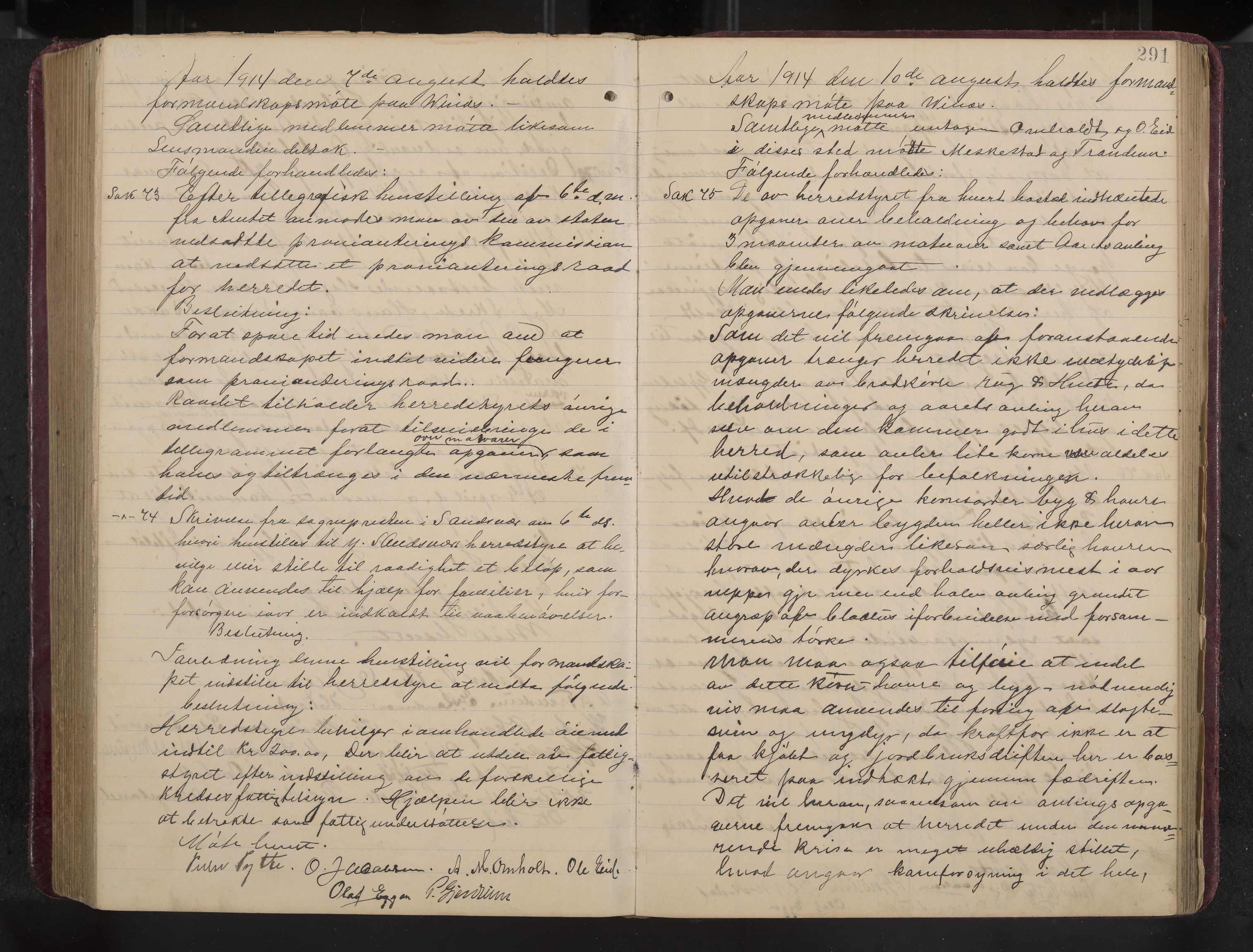 Ytre Sandsvær formannskap og sentraladministrasjon, IKAK/0629021/A/Aa/L0001: Møtebok med register, 1902-1919, p. 291