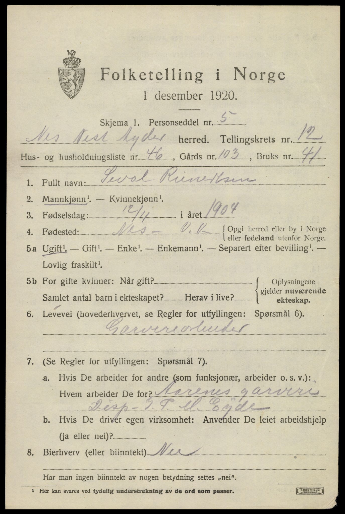 SAK, 1920 census for Nes (V-A), 1920, p. 4830