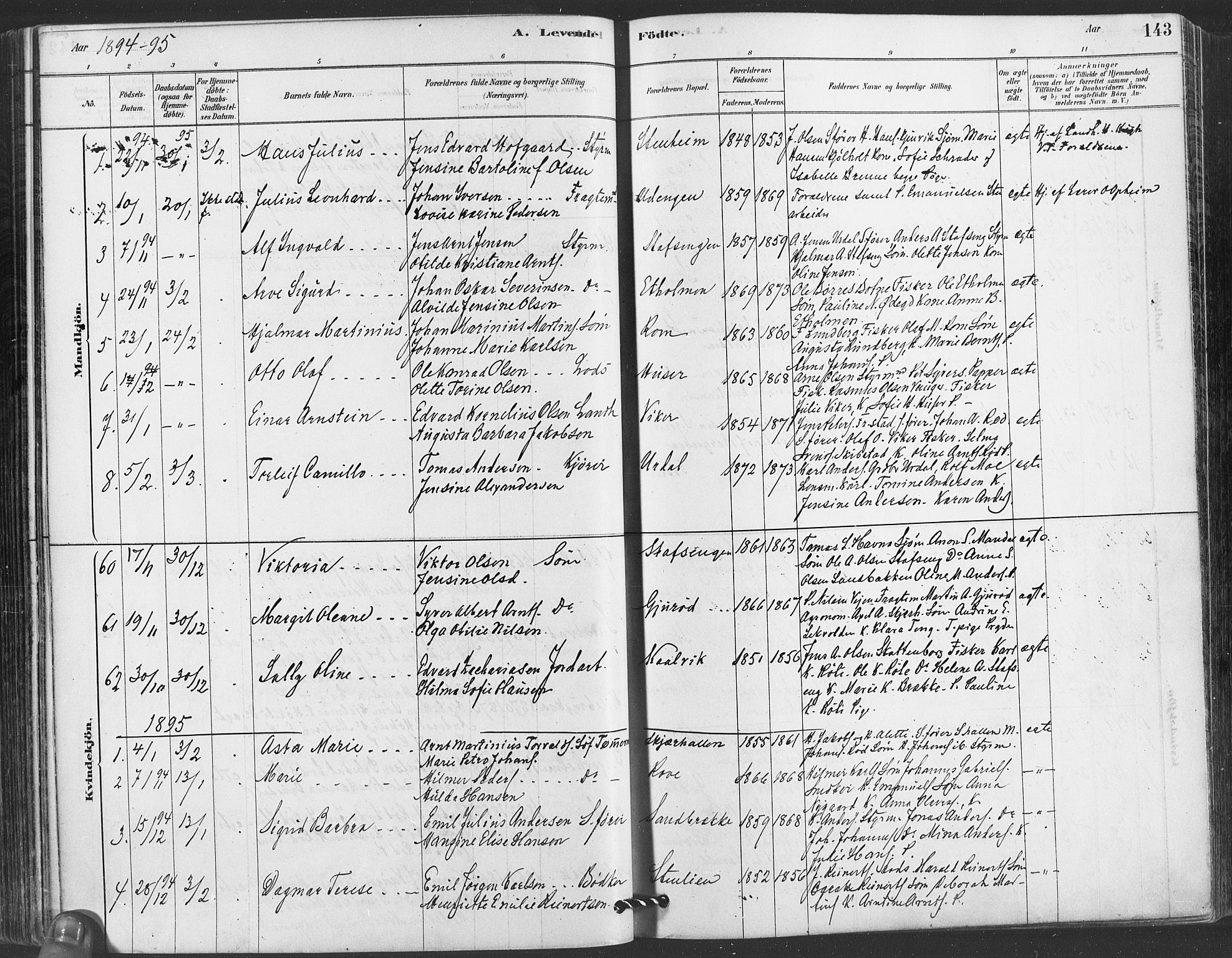 Hvaler prestekontor Kirkebøker, AV/SAO-A-2001/F/Fa/L0008: Parish register (official) no. I 8, 1878-1895, p. 143