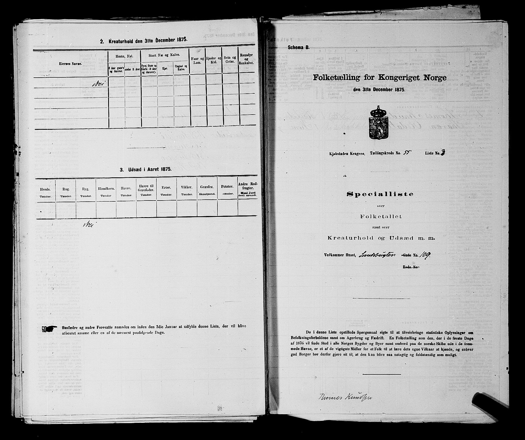 SAKO, 1875 census for 0801P Kragerø, 1875, p. 1213