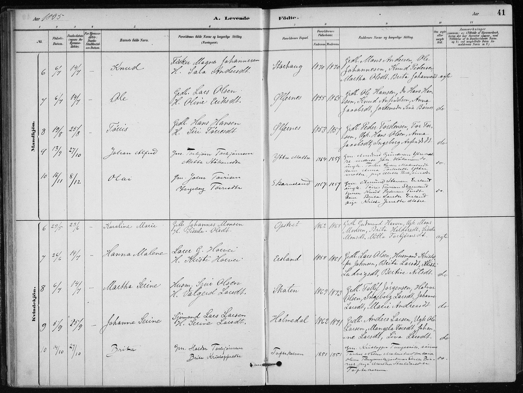 Skånevik sokneprestembete, AV/SAB-A-77801/H/Haa: Parish register (official) no. C  1, 1879-1917, p. 41