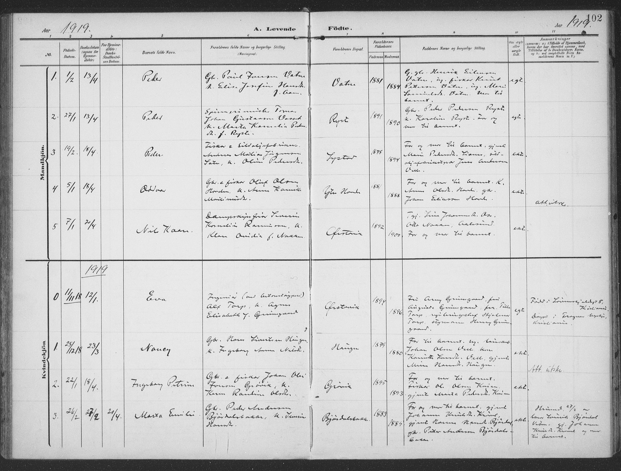 Ministerialprotokoller, klokkerbøker og fødselsregistre - Møre og Romsdal, SAT/A-1454/513/L0178: Parish register (official) no. 513A05, 1906-1919, p. 102