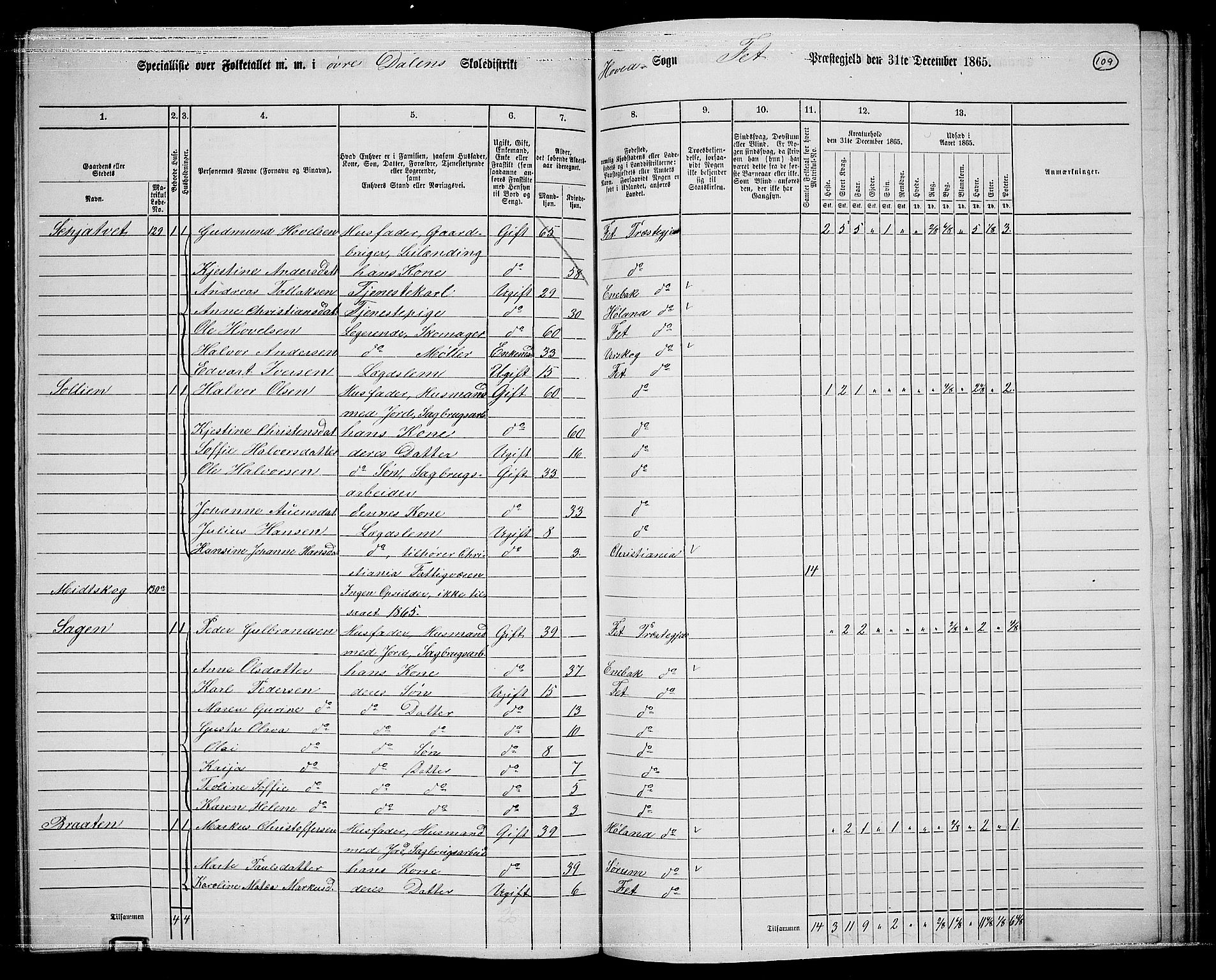 RA, 1865 census for Fet, 1865, p. 103