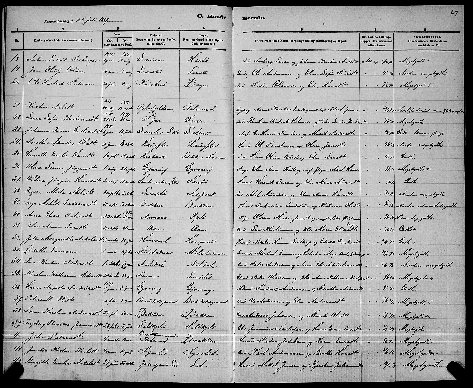 Ministerialprotokoller, klokkerbøker og fødselsregistre - Nord-Trøndelag, AV/SAT-A-1458/780/L0651: Parish register (copy) no. 780C03, 1884-1898, p. 67