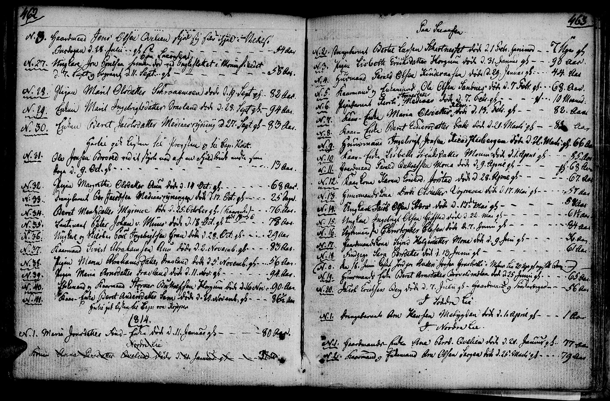 Ministerialprotokoller, klokkerbøker og fødselsregistre - Nord-Trøndelag, SAT/A-1458/749/L0468: Parish register (official) no. 749A02, 1787-1817, p. 462-463