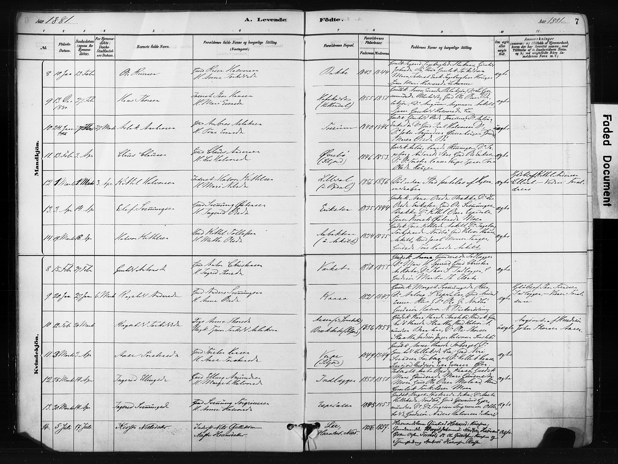 Bø kirkebøker, SAKO/A-257/F/Fa/L0010: Parish register (official) no. 10, 1880-1892, p. 7