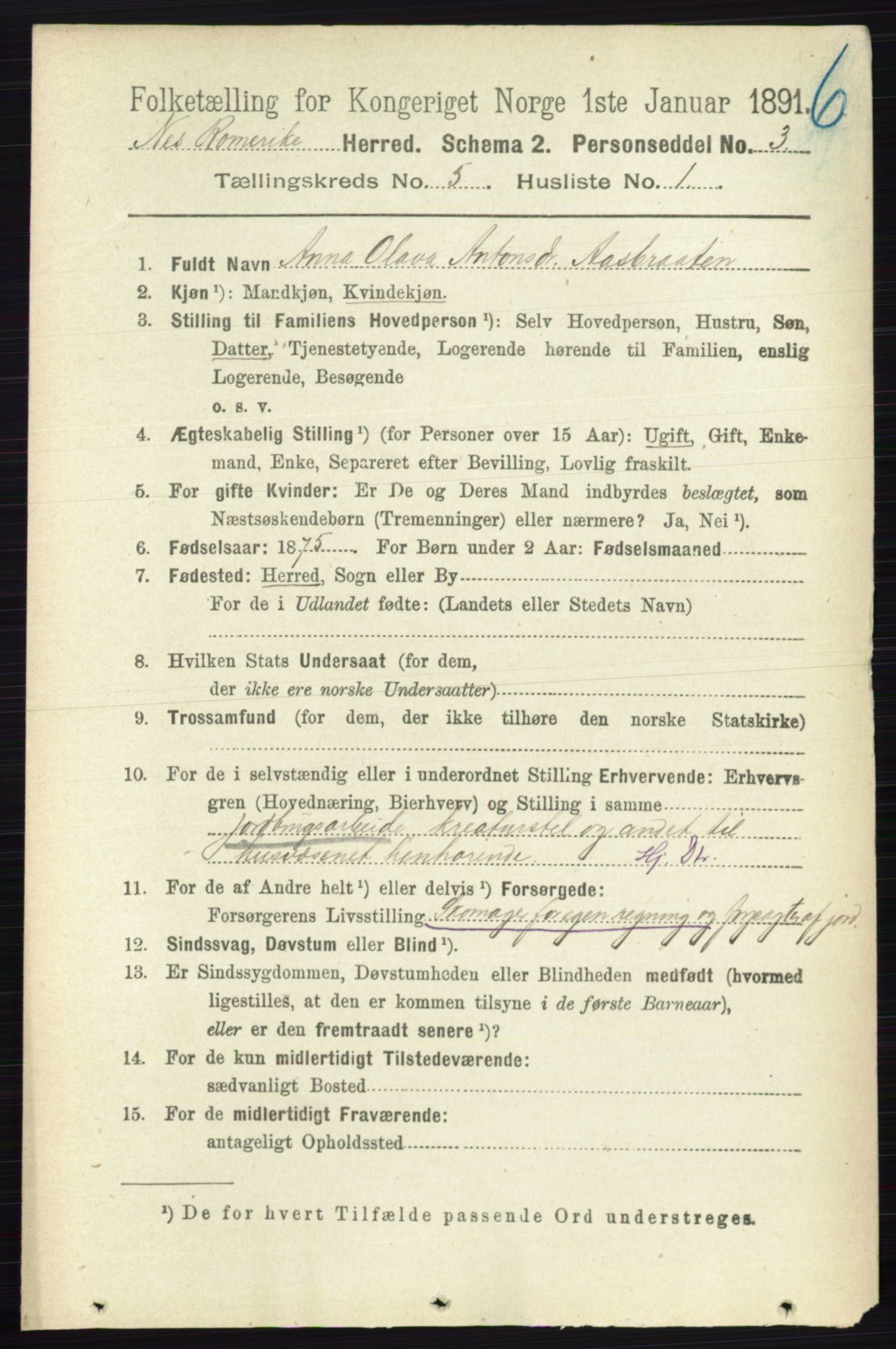 RA, 1891 census for 0236 Nes, 1891, p. 2793