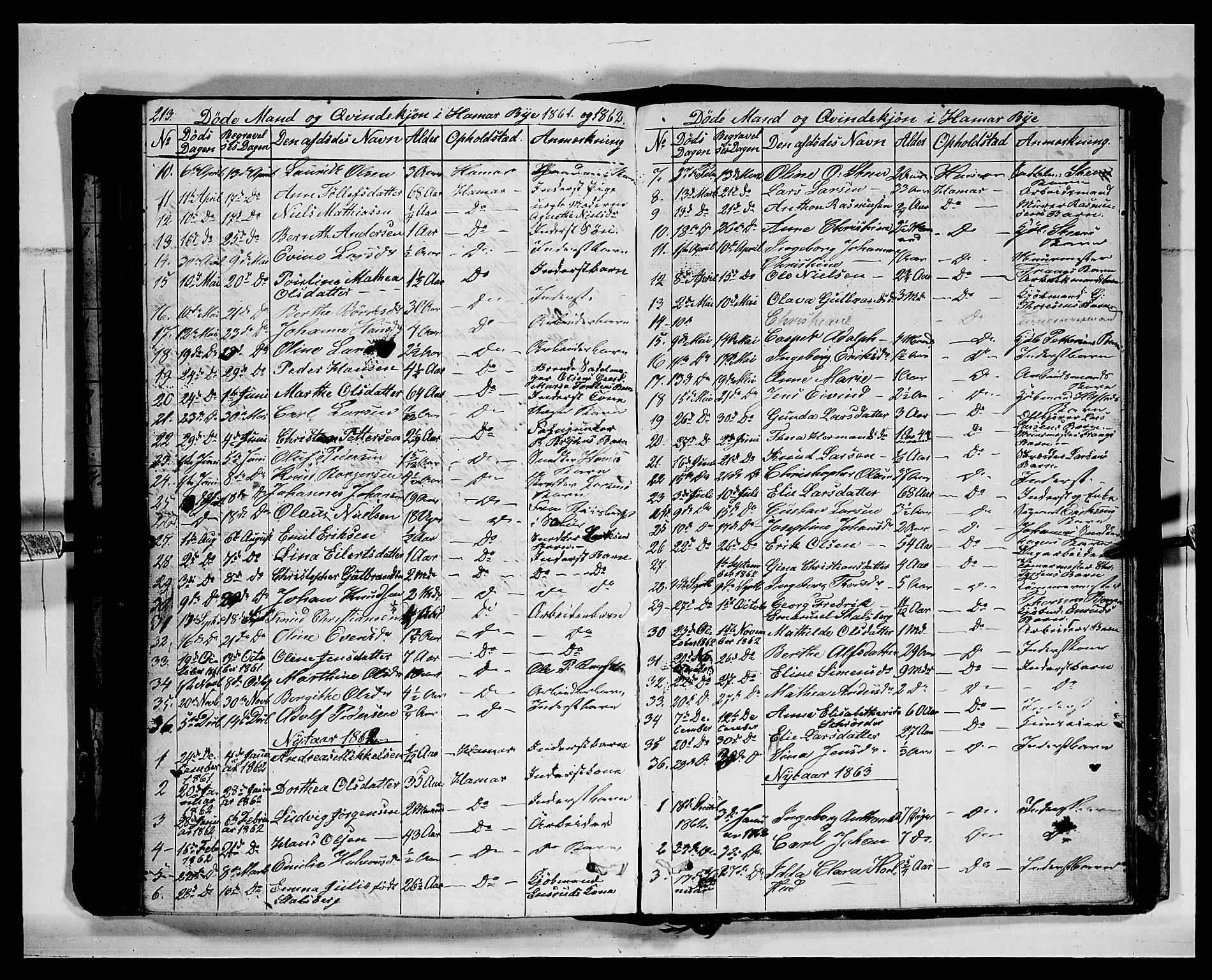 Vang prestekontor, Hedmark, SAH/PREST-008/H/Ha/Hab/L0011: Parish register (copy) no. 11, 1855-1878, p. 213