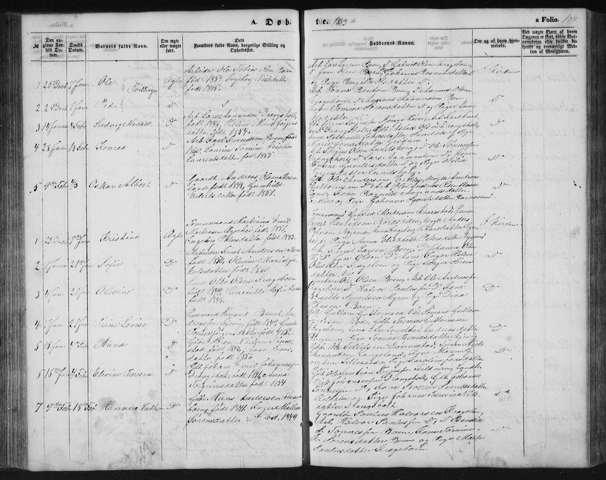 Tveit sokneprestkontor, AV/SAK-1111-0043/F/Fb/L0003: Parish register (copy) no. B 3, 1854-1886, p. 134