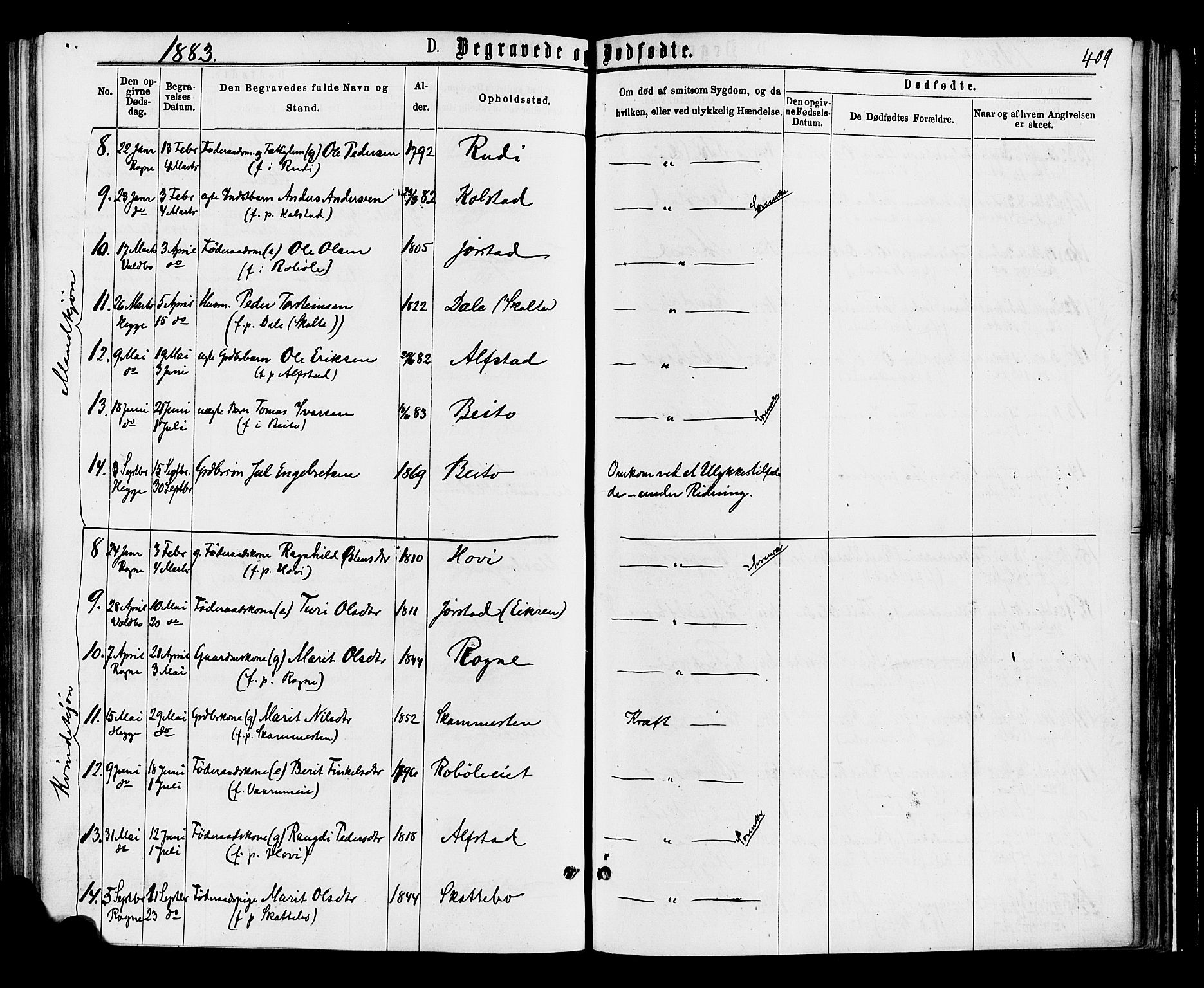 Øystre Slidre prestekontor, AV/SAH-PREST-138/H/Ha/Haa/L0002: Parish register (official) no. 2, 1874-1886, p. 409