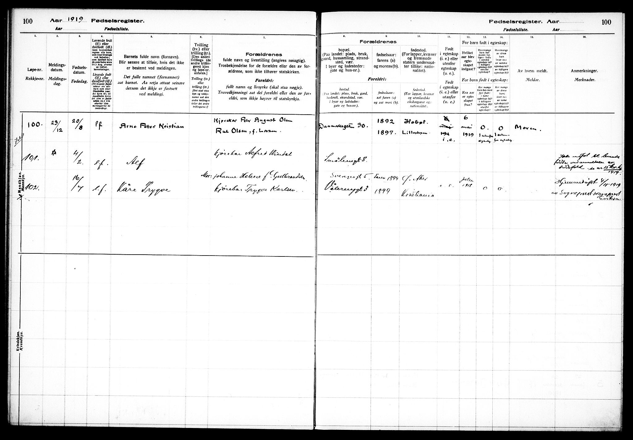 Vålerengen prestekontor Kirkebøker, AV/SAO-A-10878/J/Ja/L0001: Birth register no. 1, 1916-1924, p. 100