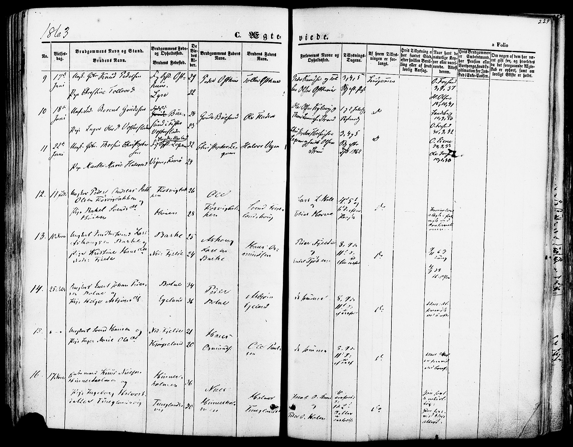 Strand sokneprestkontor, SAST/A-101828/H/Ha/Haa/L0007: Parish register (official) no. A 7, 1855-1881, p. 229