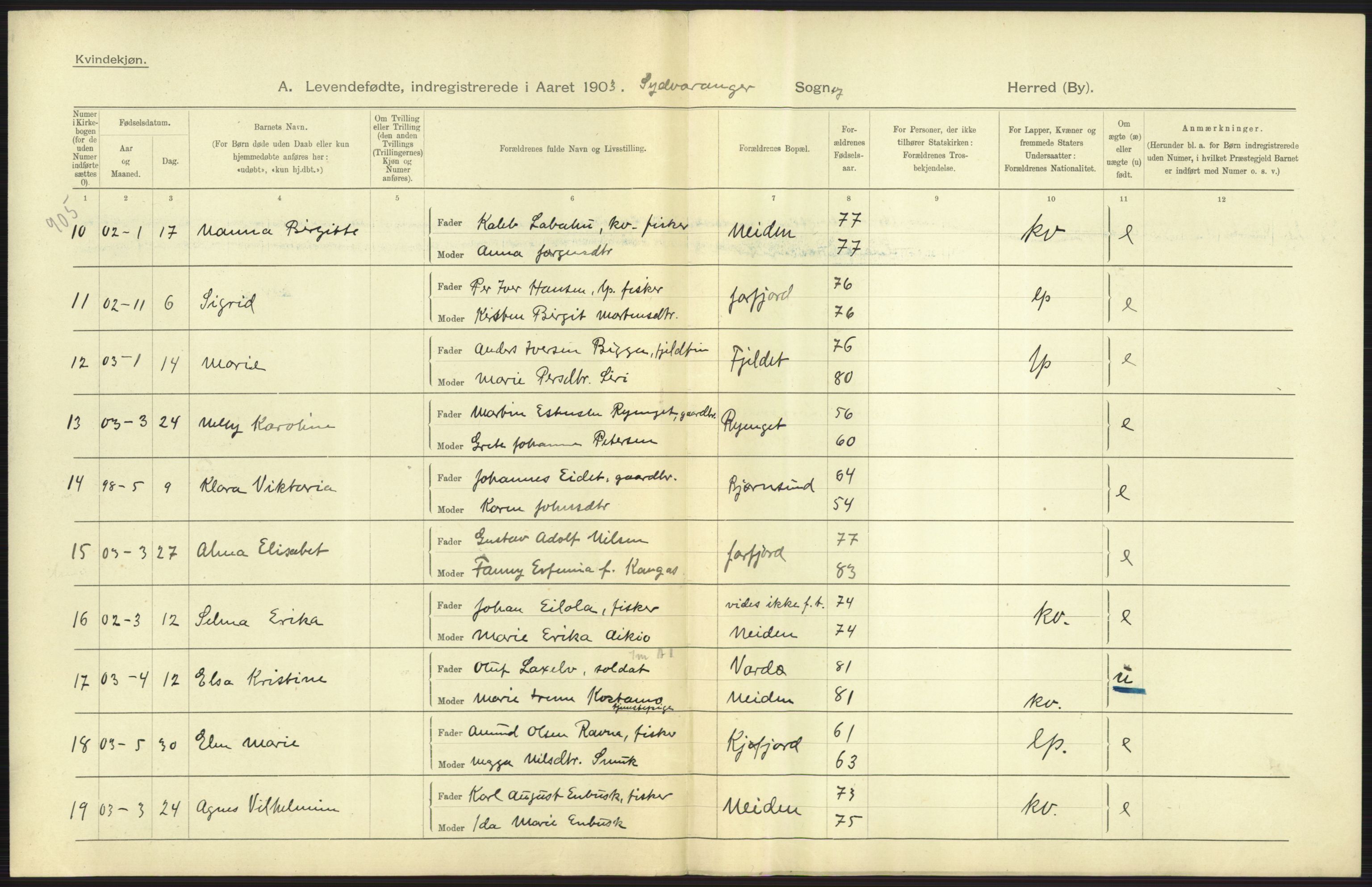 Statistisk sentralbyrå, Sosiodemografiske emner, Befolkning, AV/RA-S-2228/D/Df/Dfa/Dfaa/L0022: Finnmarkens amt: Fødte, gifte, døde., 1903, p. 11