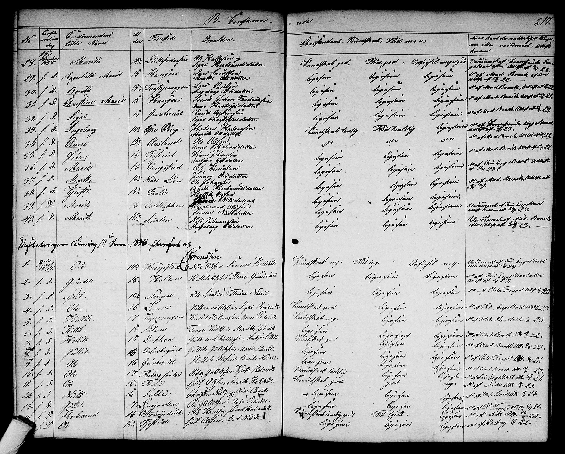 Flesberg kirkebøker, SAKO/A-18/G/Ga/L0002: Parish register (copy) no. I 2, 1834-1860, p. 217