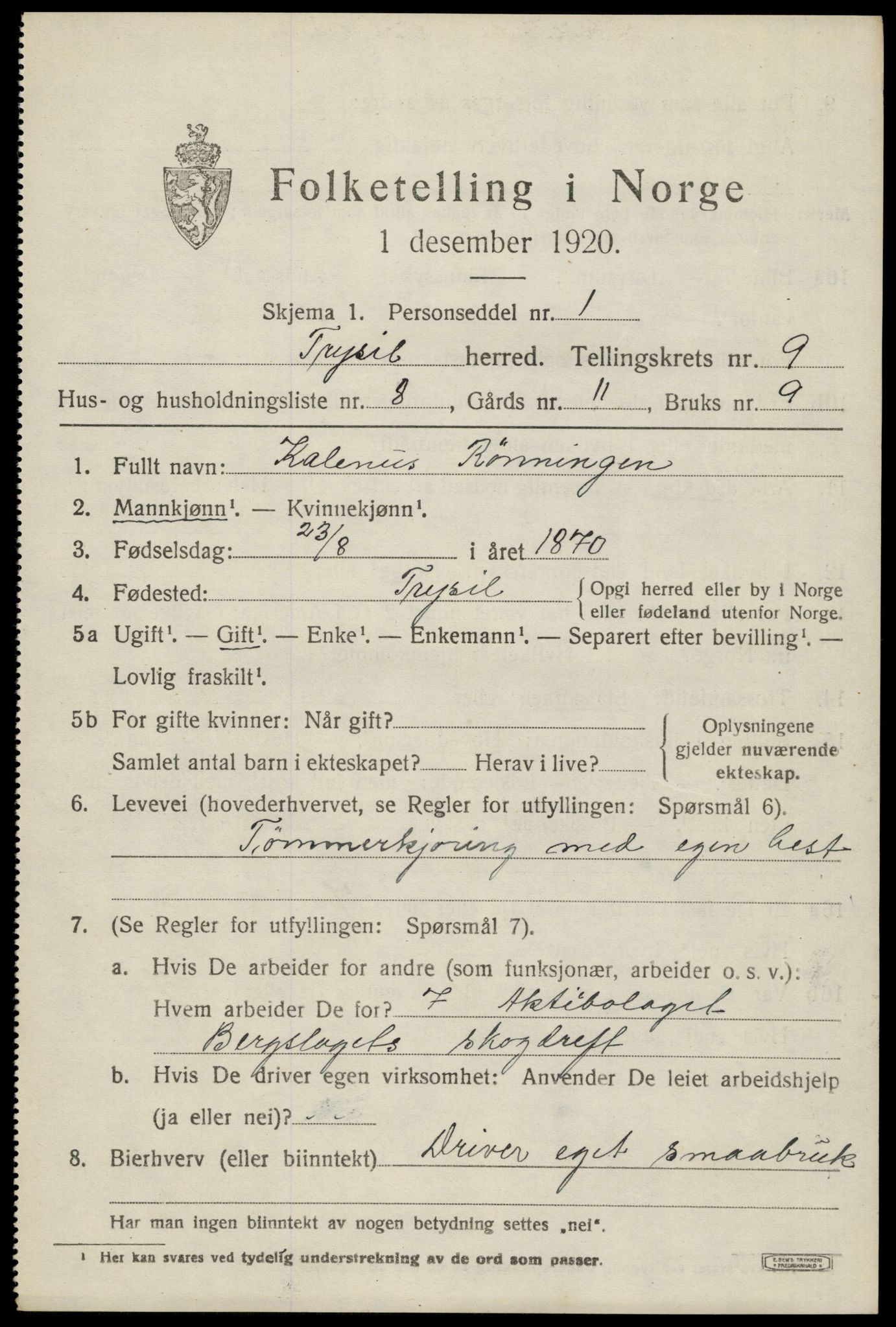 SAH, 1920 census for Trysil, 1920, p. 6631