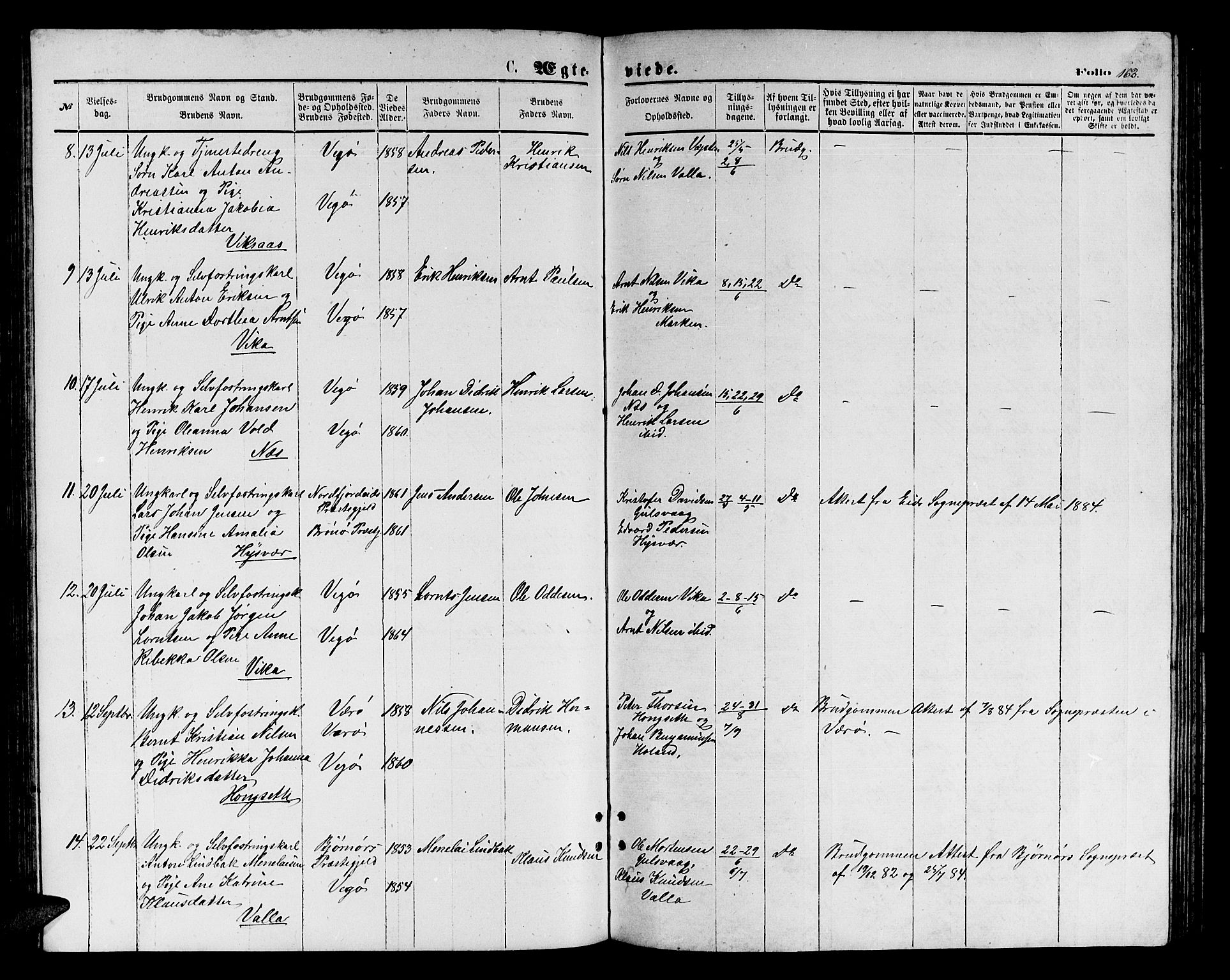 Ministerialprotokoller, klokkerbøker og fødselsregistre - Nordland, AV/SAT-A-1459/816/L0252: Parish register (copy) no. 816C02, 1871-1885, p. 163