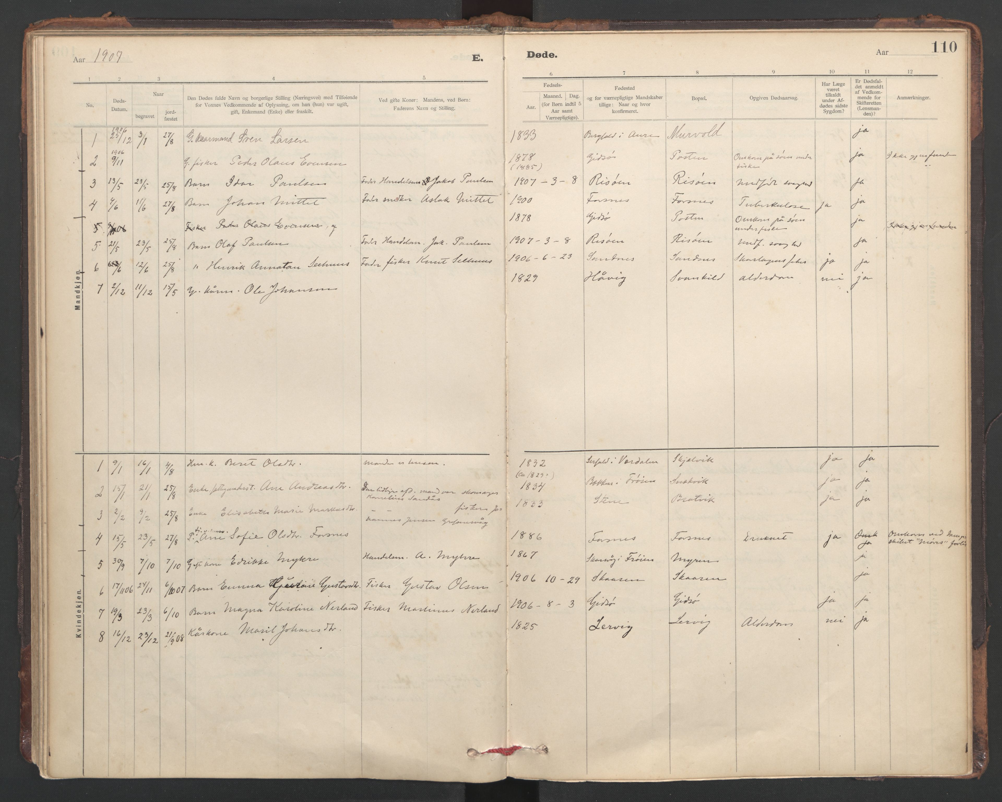 Ministerialprotokoller, klokkerbøker og fødselsregistre - Sør-Trøndelag, SAT/A-1456/635/L0552: Parish register (official) no. 635A02, 1899-1919, p. 110