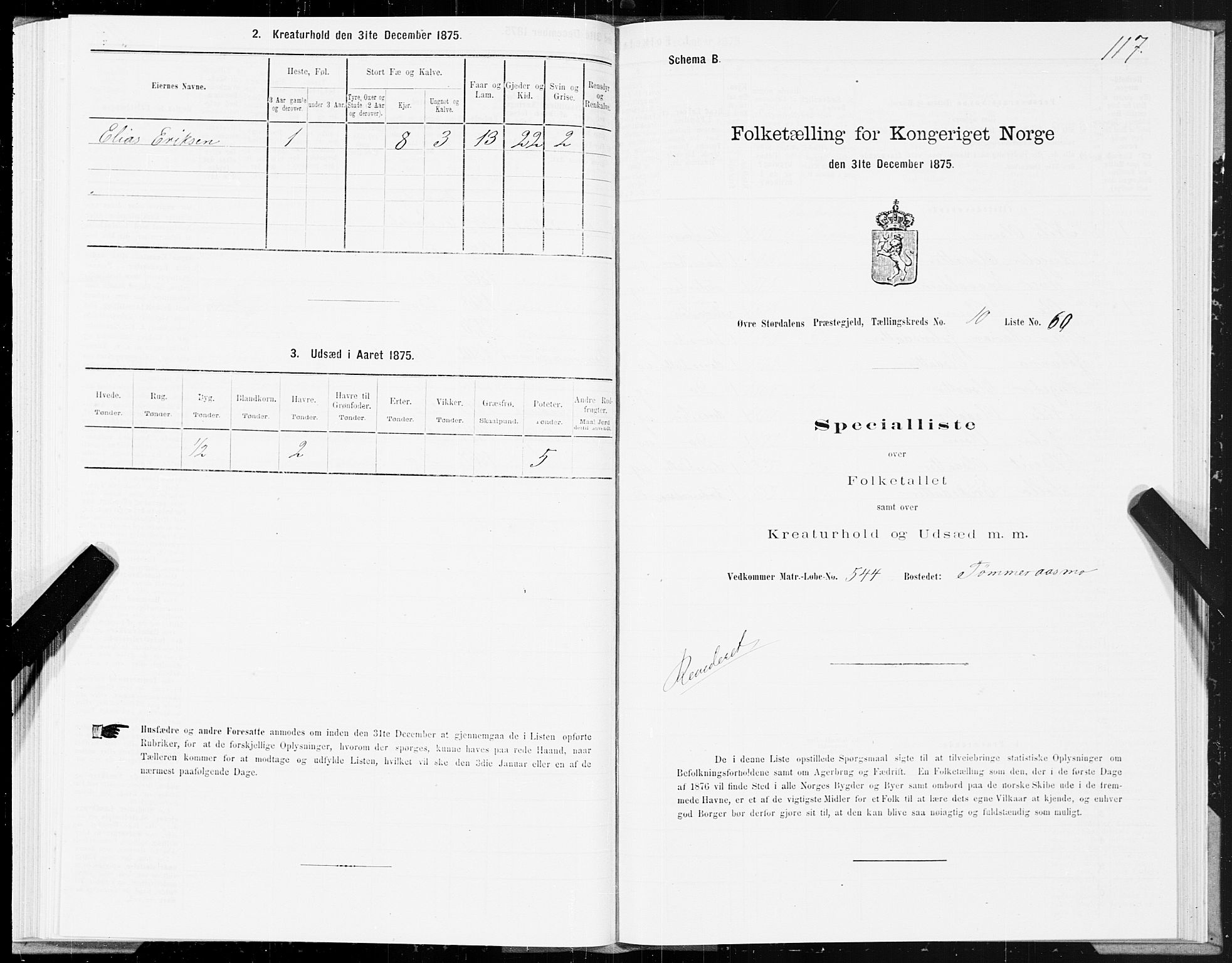 SAT, 1875 census for 1711P Øvre Stjørdal, 1875, p. 6117