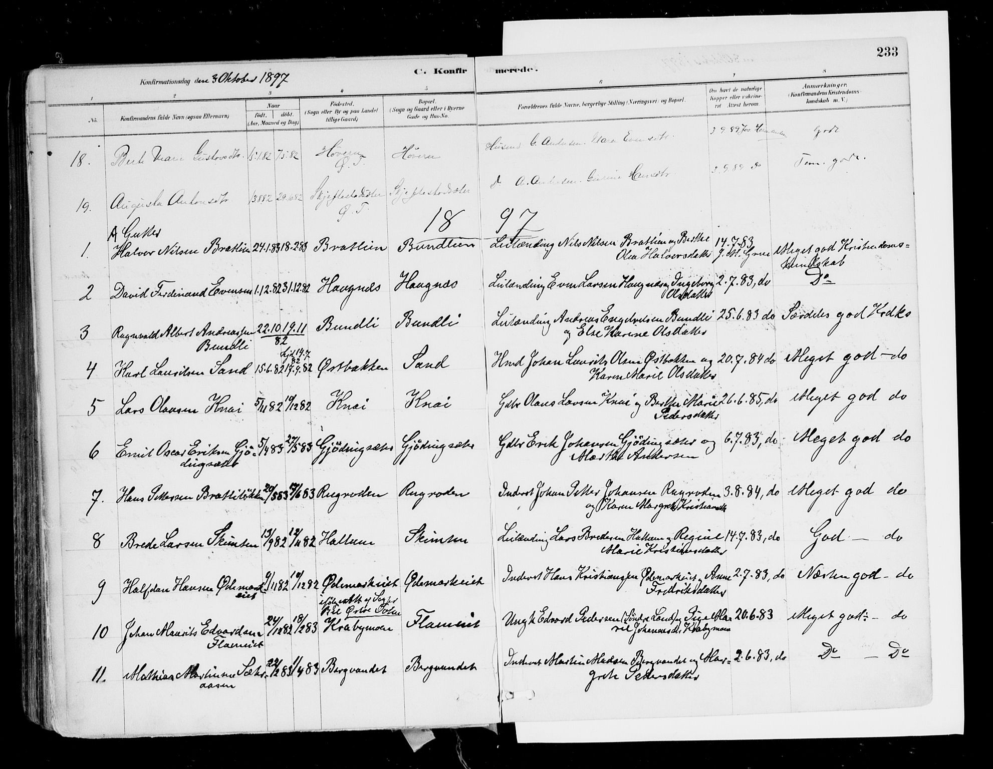 Hurdal prestekontor Kirkebøker, SAO/A-10889/F/Fa/L0007: Parish register (official) no. I 7, 1878-1906, p. 233