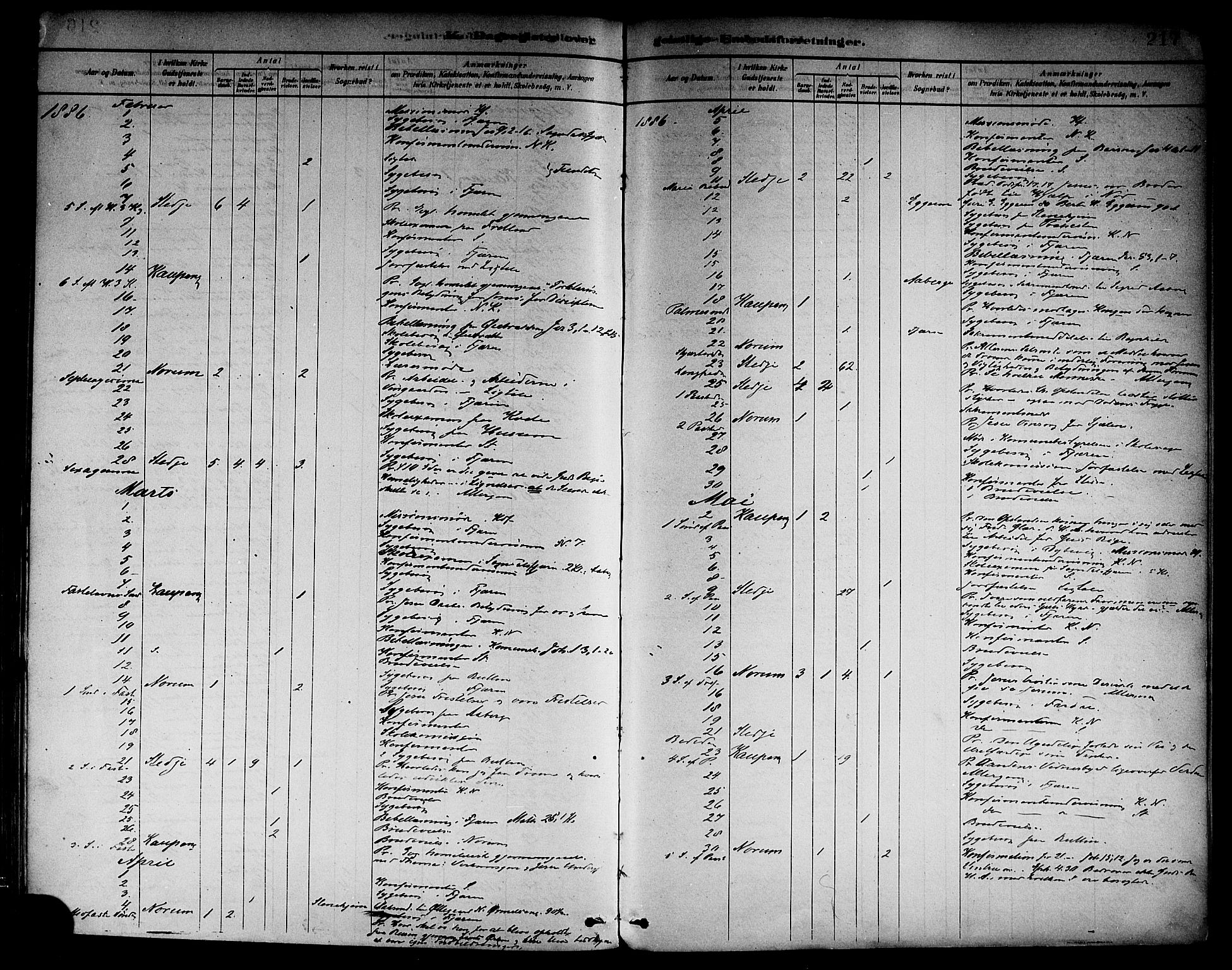 Sogndal sokneprestembete, AV/SAB-A-81301/H/Haa/Haab/L0001: Parish register (official) no. B 1, 1878-1899, p. 217