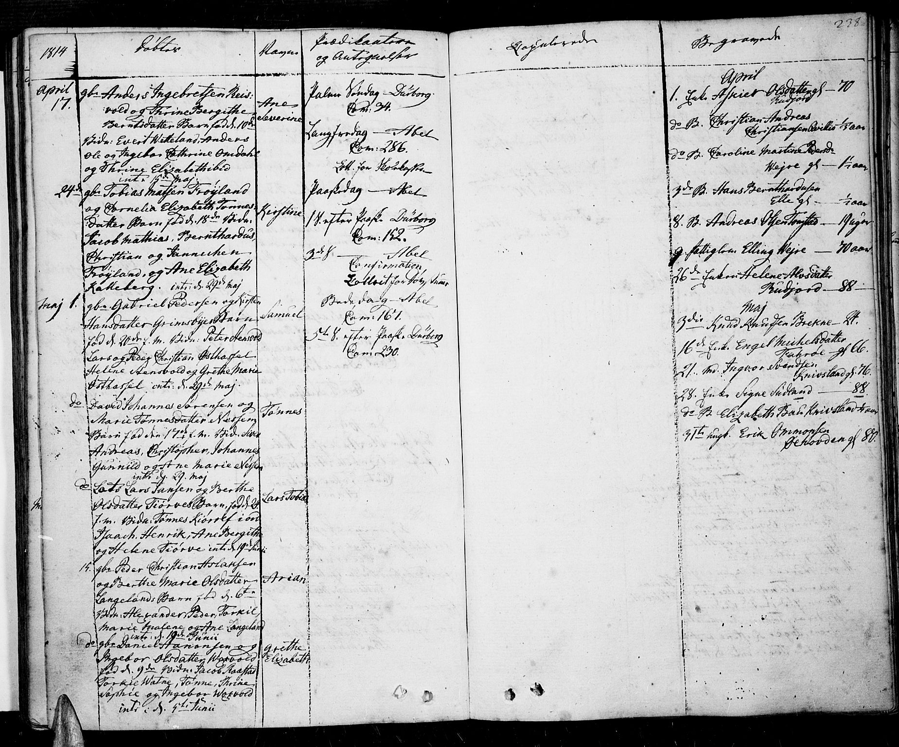 Lista sokneprestkontor, SAK/1111-0027/F/Fa/L0005: Parish register (official) no. A 5, 1795-1823, p. 238