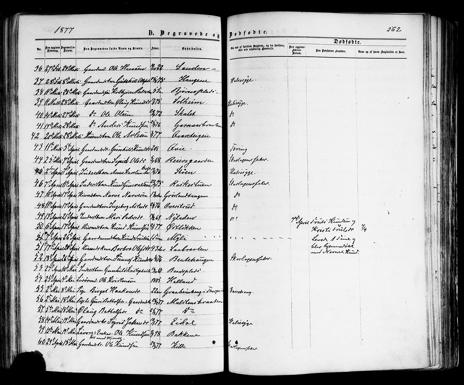 Nes kirkebøker, AV/SAKO-A-236/F/Fa/L0010: Parish register (official) no. 10, 1864-1880, p. 562