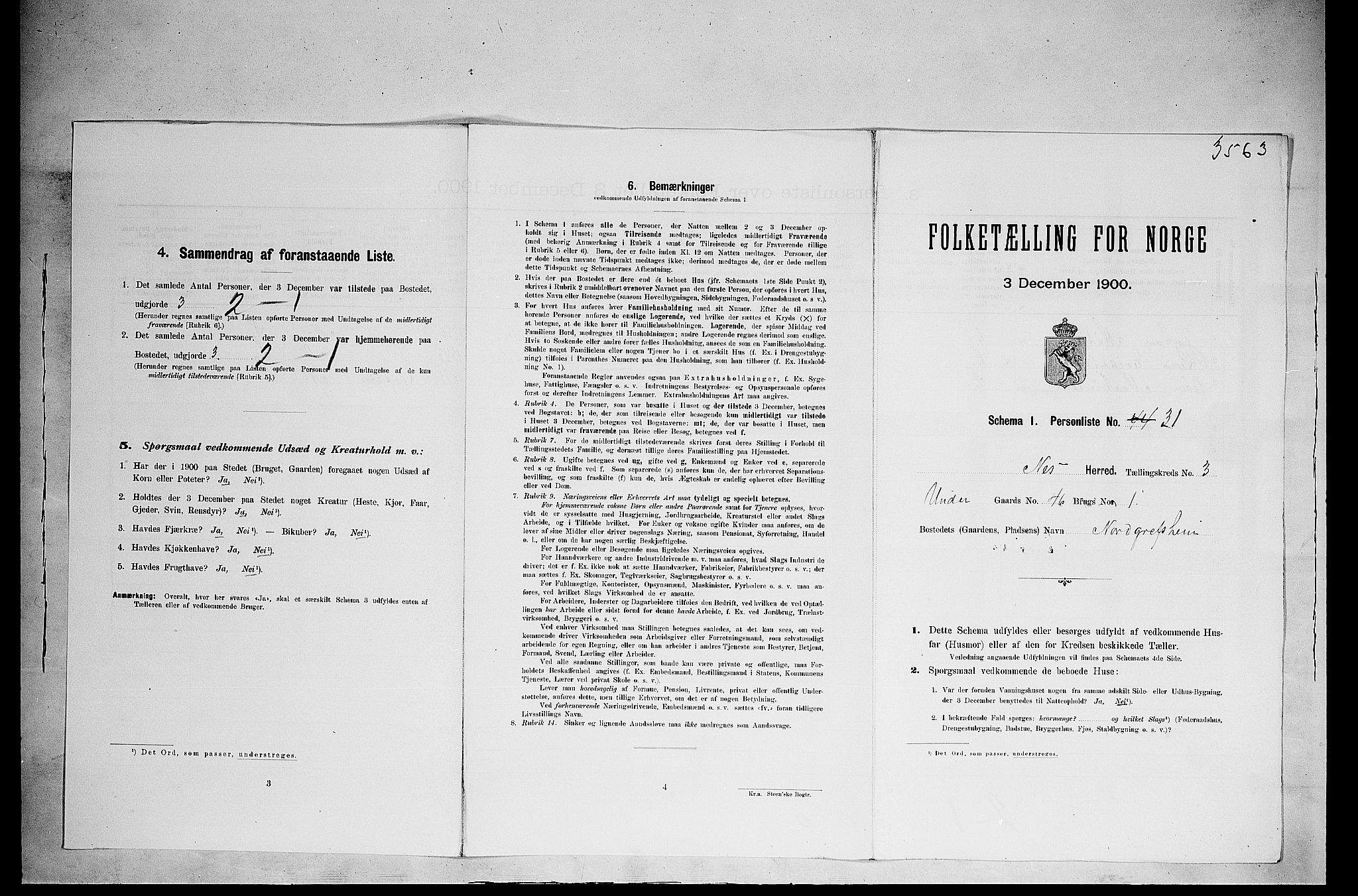 SAH, 1900 census for Nes, 1900, p. 494