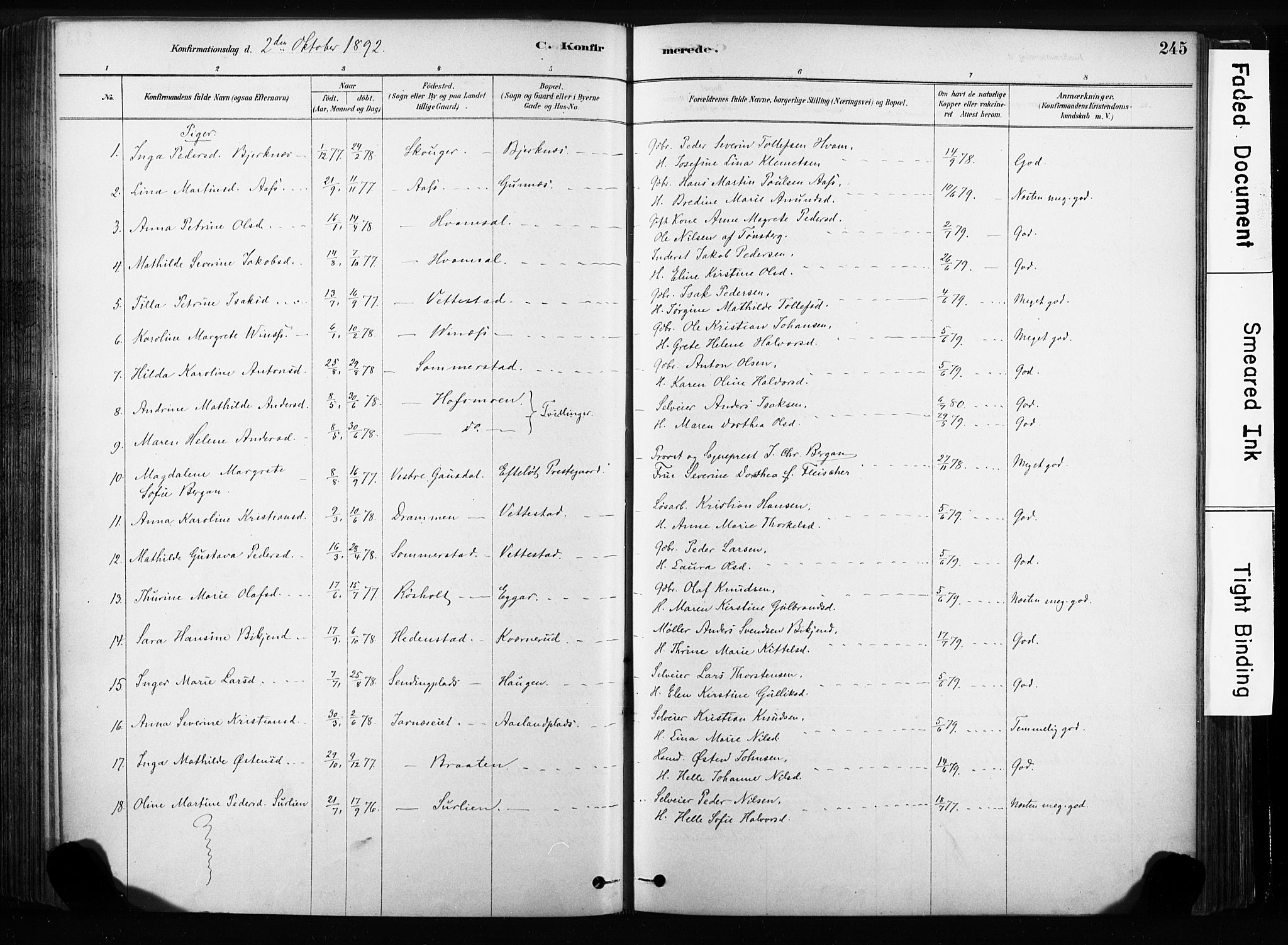 Sandsvær kirkebøker, SAKO/A-244/F/Fb/L0001: Parish register (official) no. II 1, 1878-1906, p. 245