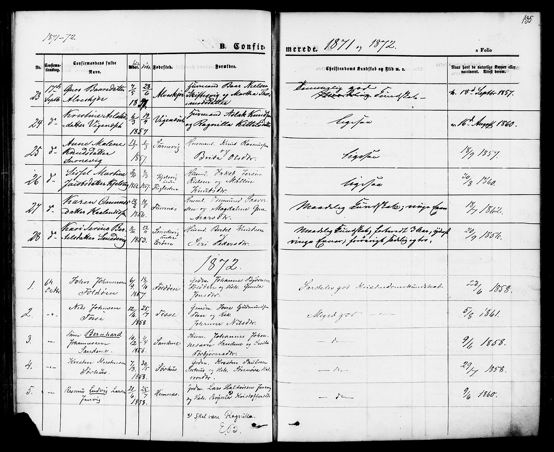 Jelsa sokneprestkontor, AV/SAST-A-101842/01/IV: Parish register (official) no. A 8, 1867-1883, p. 135