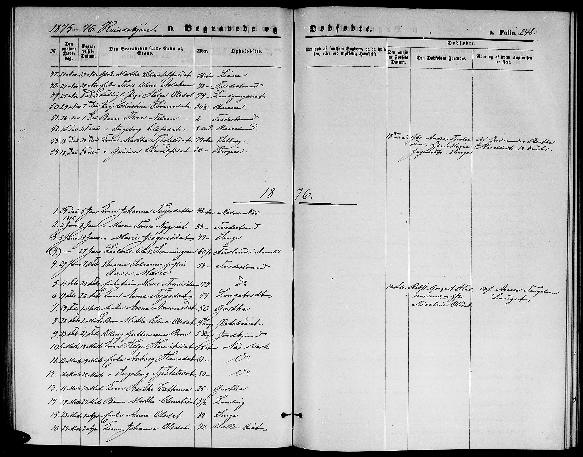 Holt sokneprestkontor, AV/SAK-1111-0021/F/Fb/L0009: Parish register (copy) no. B 9, 1871-1883, p. 248