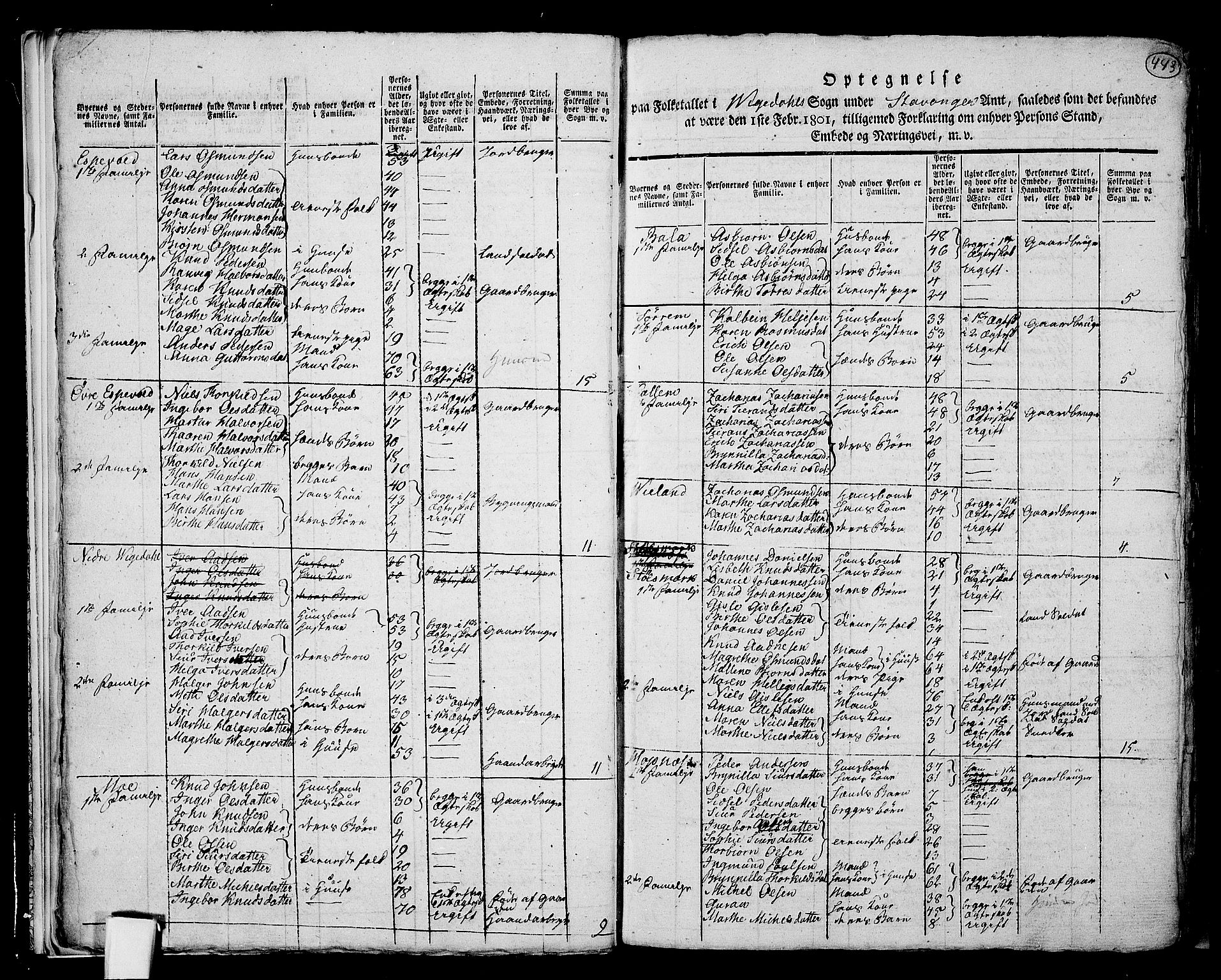 RA, 1801 census for 1157P Vikedal, 1801, p. 442b-443a