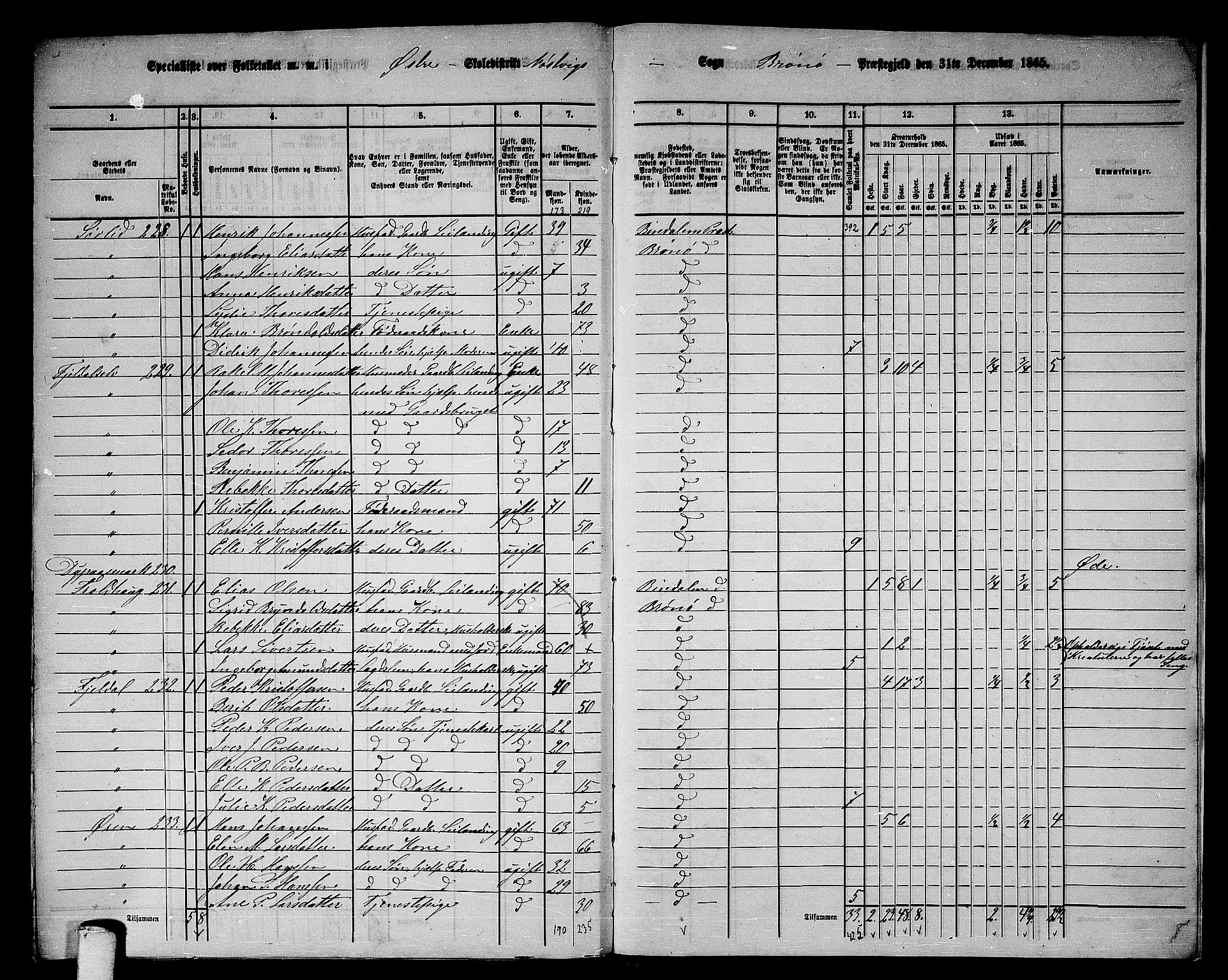 RA, 1865 census for Brønnøy, 1865, p. 208