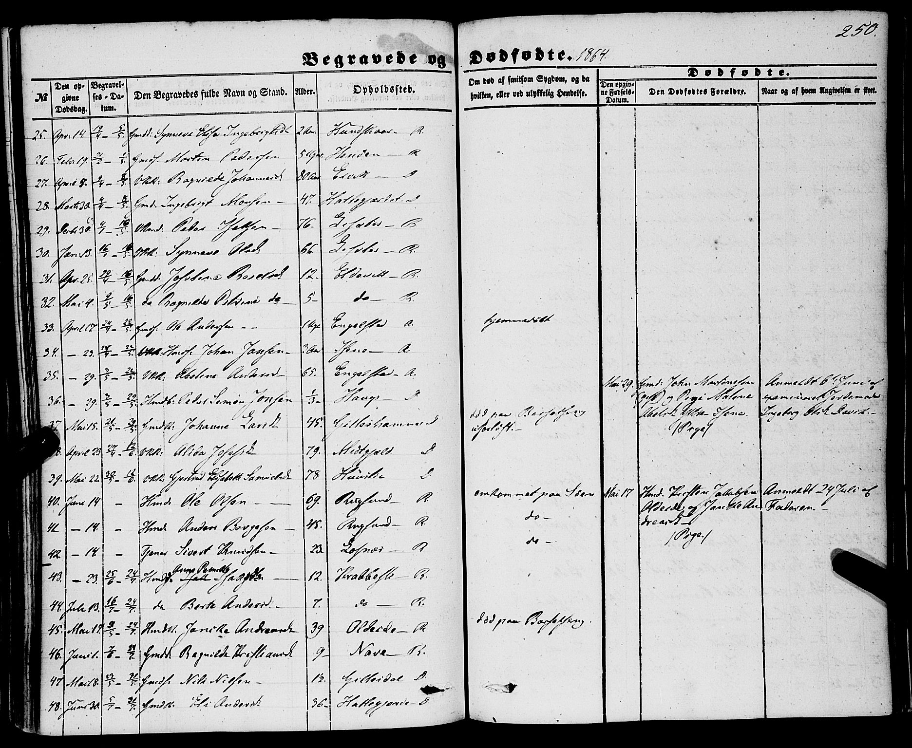 Davik sokneprestembete, AV/SAB-A-79701/H/Haa/Haaa/L0005: Parish register (official) no. A 5, 1850-1866, p. 250