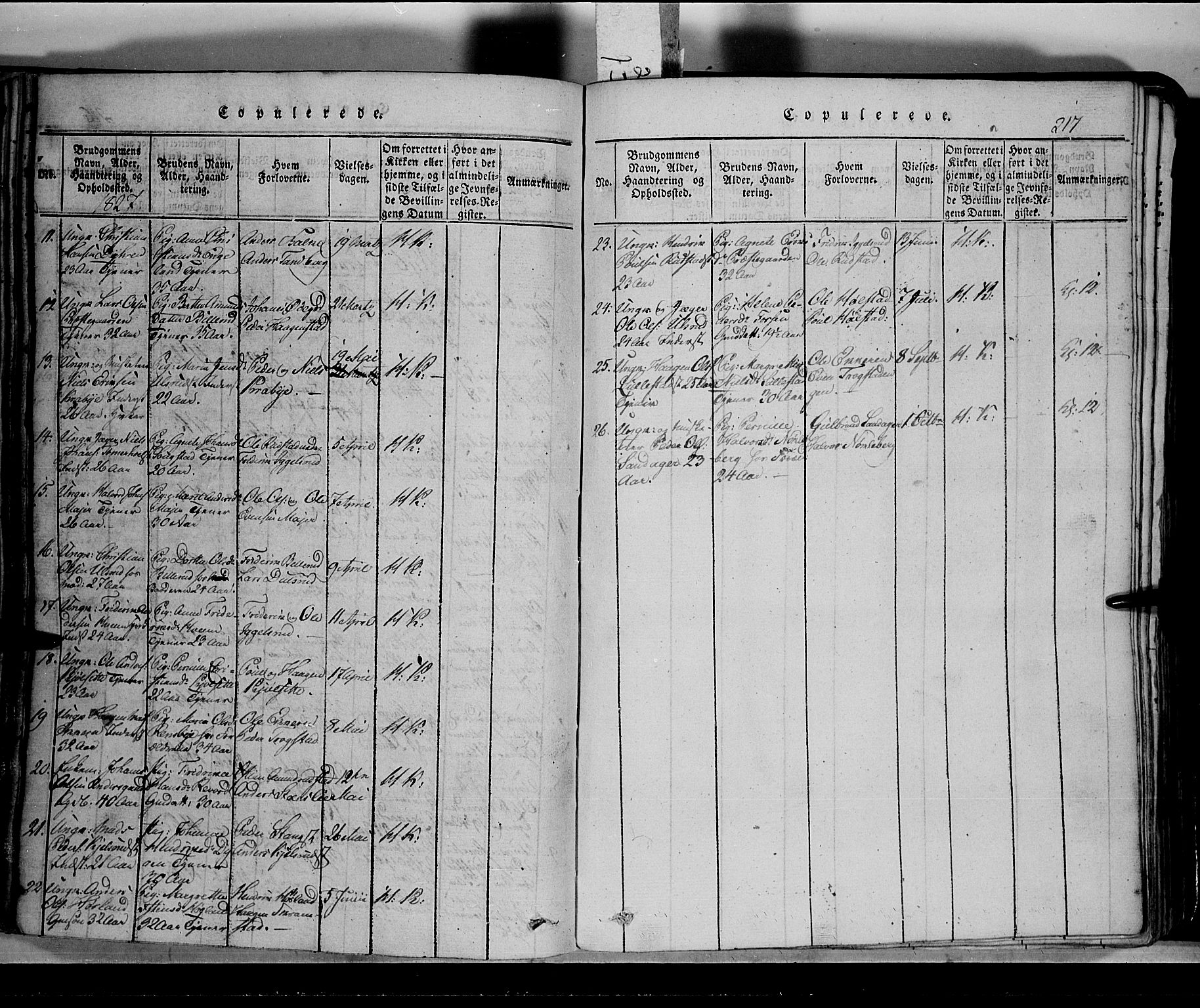 Toten prestekontor, SAH/PREST-102/H/Ha/Hab/L0002: Parish register (copy) no. 2, 1820-1827, p. 217