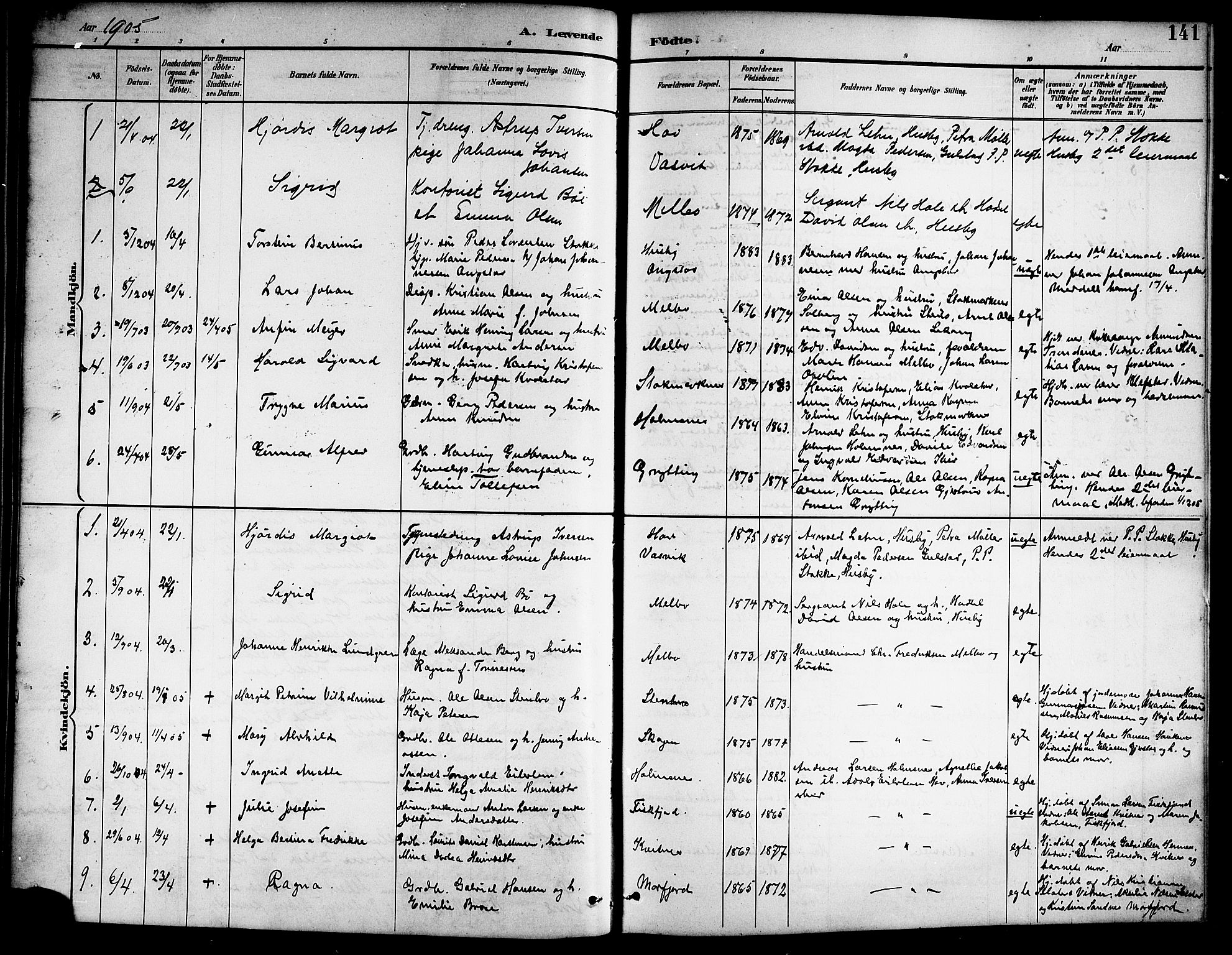 Ministerialprotokoller, klokkerbøker og fødselsregistre - Nordland, SAT/A-1459/888/L1268: Parish register (copy) no. 888C06, 1891-1908, p. 141