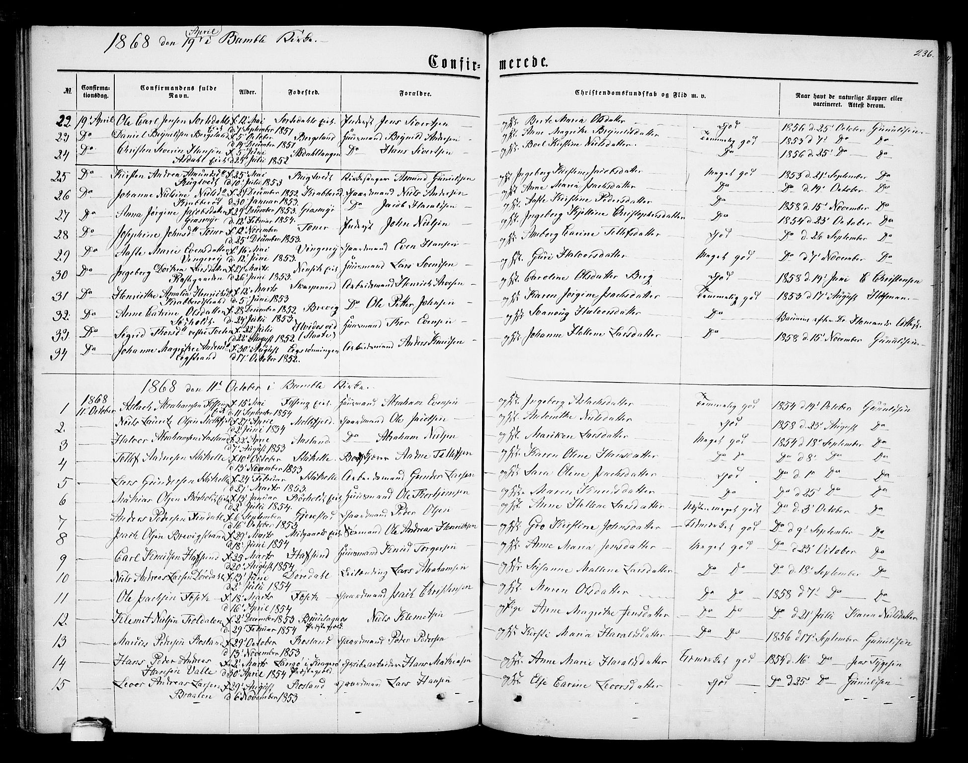 Bamble kirkebøker, SAKO/A-253/G/Ga/L0006: Parish register (copy) no. I 6, 1860-1876, p. 236