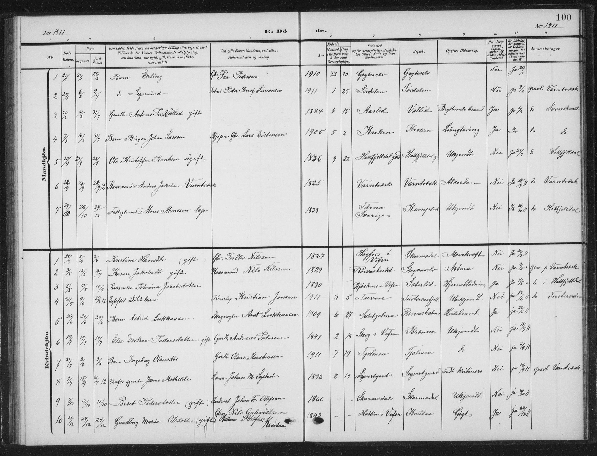 Ministerialprotokoller, klokkerbøker og fødselsregistre - Nordland, AV/SAT-A-1459/823/L0331: Parish register (copy) no. 823C03, 1905-1934, p. 100