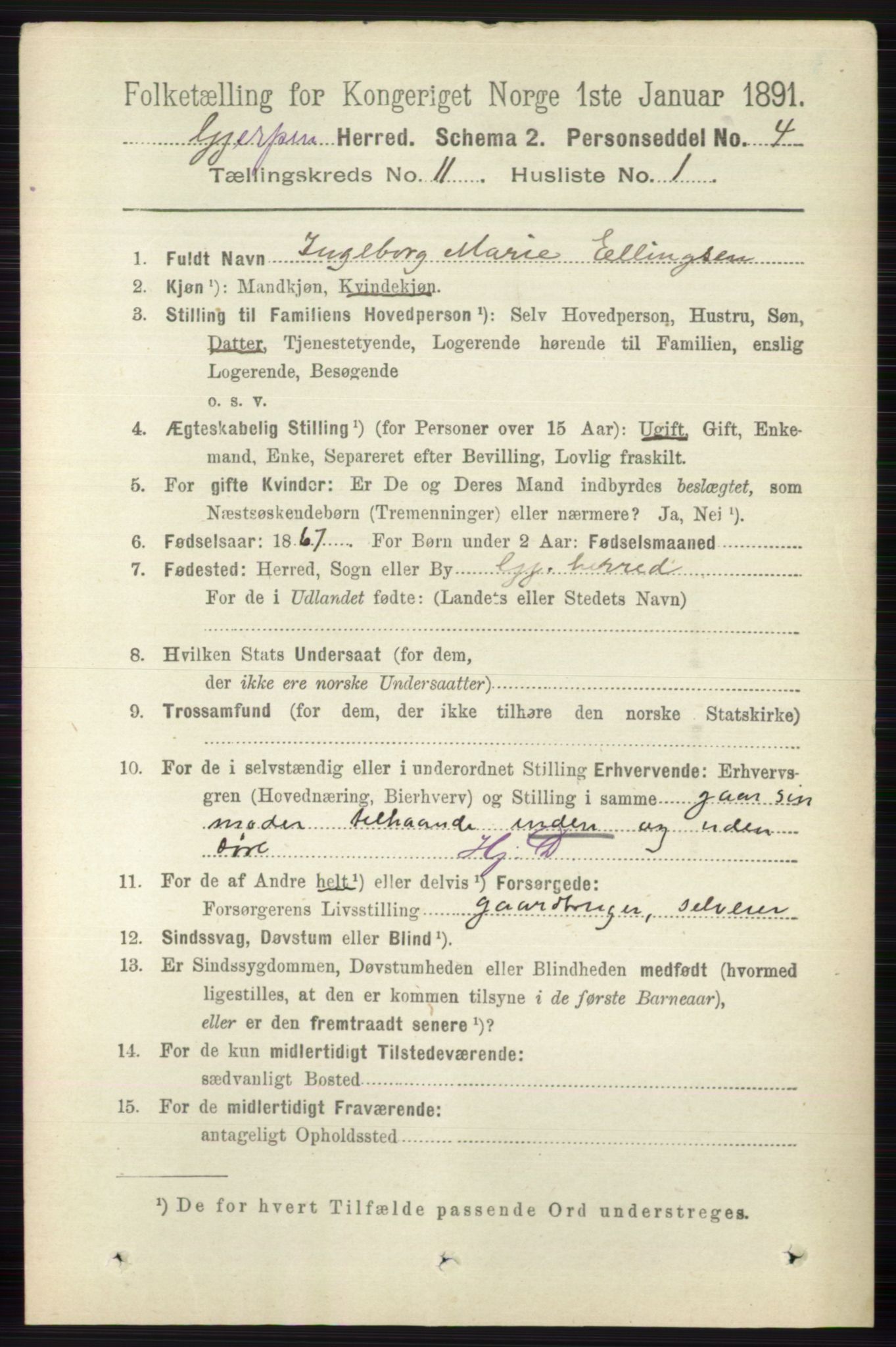 RA, 1891 census for 0812 Gjerpen, 1891, p. 6542