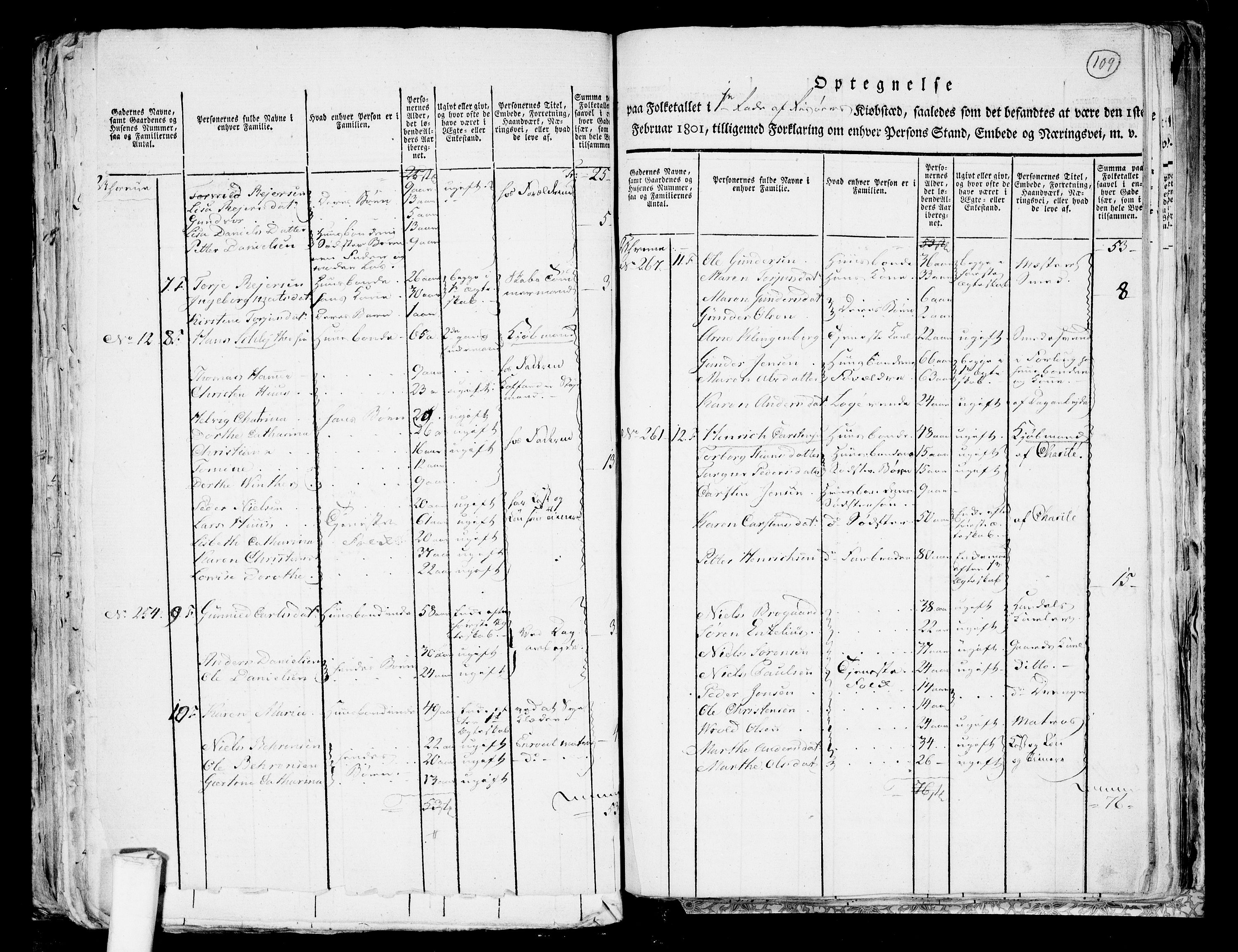 RA, 1801 census for 0901P Risør, 1801, p. 108b-109a