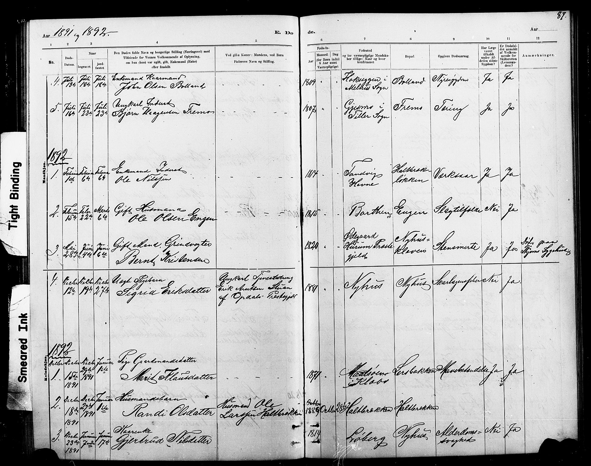 Ministerialprotokoller, klokkerbøker og fødselsregistre - Sør-Trøndelag, SAT/A-1456/693/L1123: Parish register (copy) no. 693C04, 1887-1910, p. 87