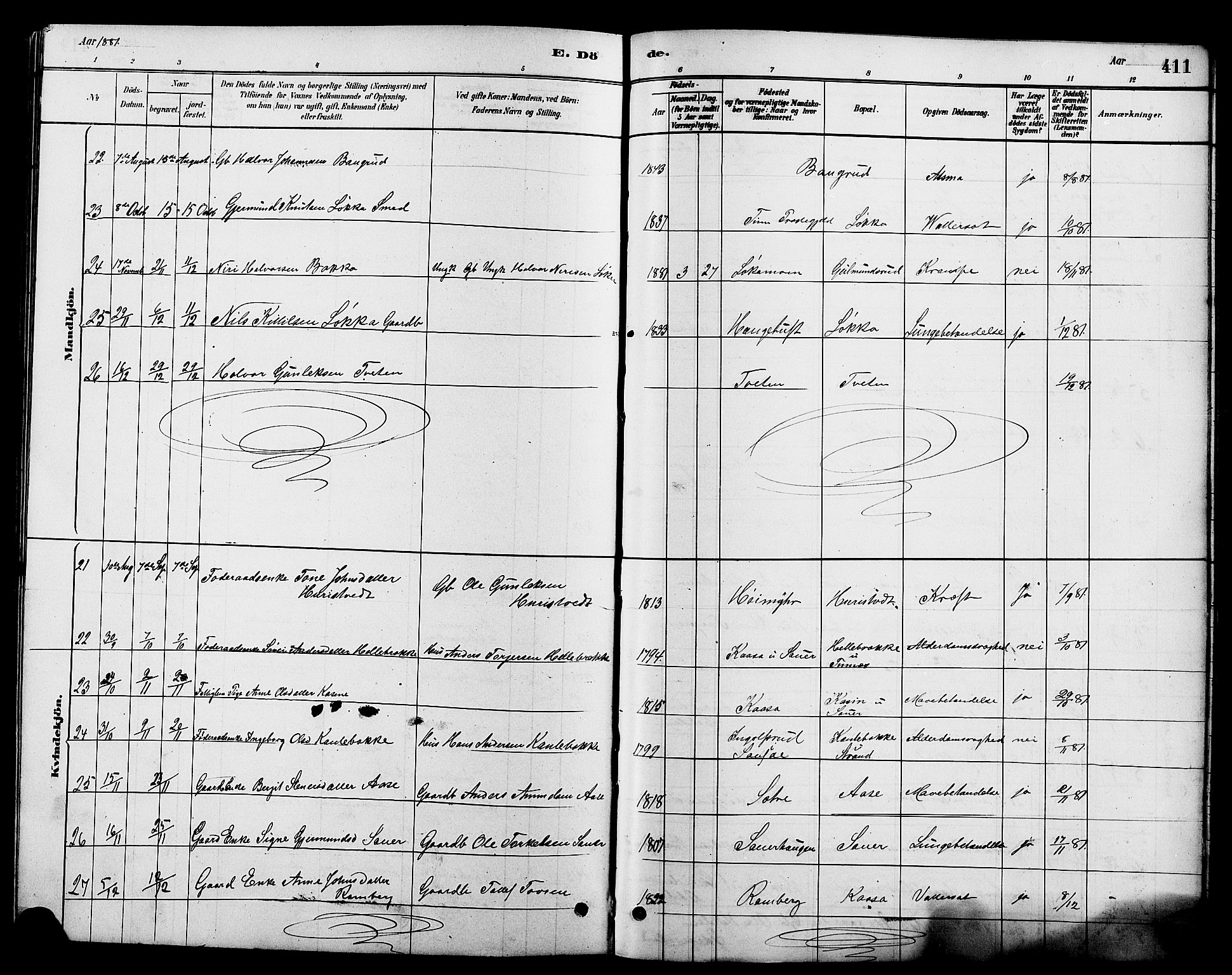 Heddal kirkebøker, AV/SAKO-A-268/G/Ga/L0002: Parish register (copy) no. I 2, 1879-1908, p. 411