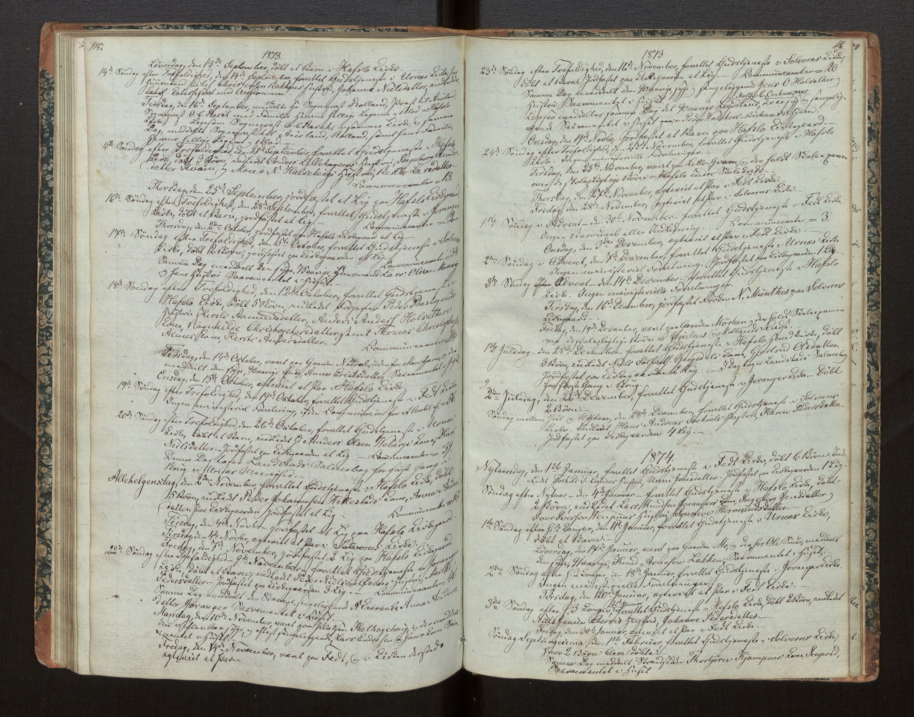 Hafslo sokneprestembete, SAB/A-80301/H/Haa/Haaf/L0002: Diary records no. F 2, 1854-1879, p. 115-116