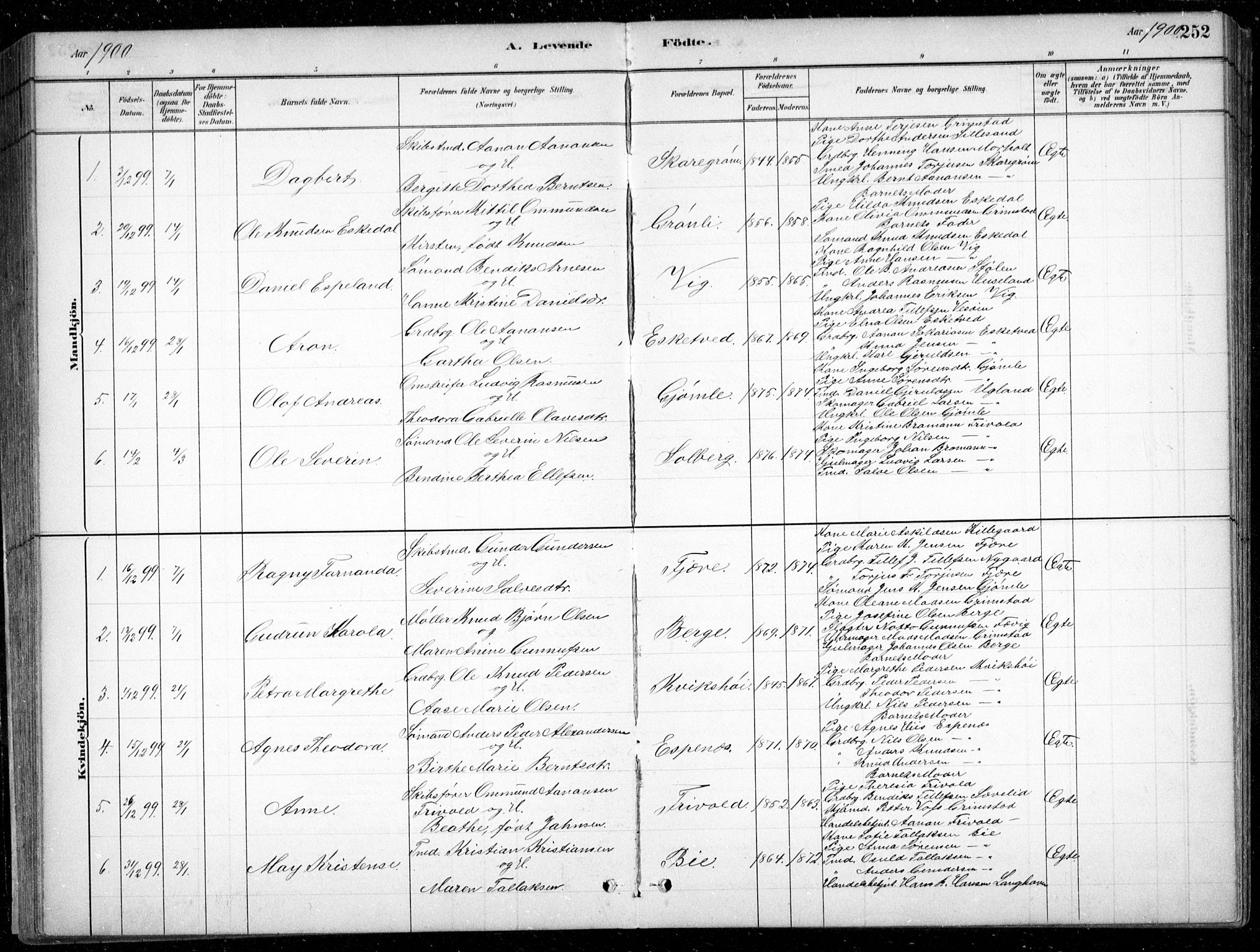 Fjære sokneprestkontor, SAK/1111-0011/F/Fb/L0011: Parish register (copy) no. B 11, 1881-1905, p. 252