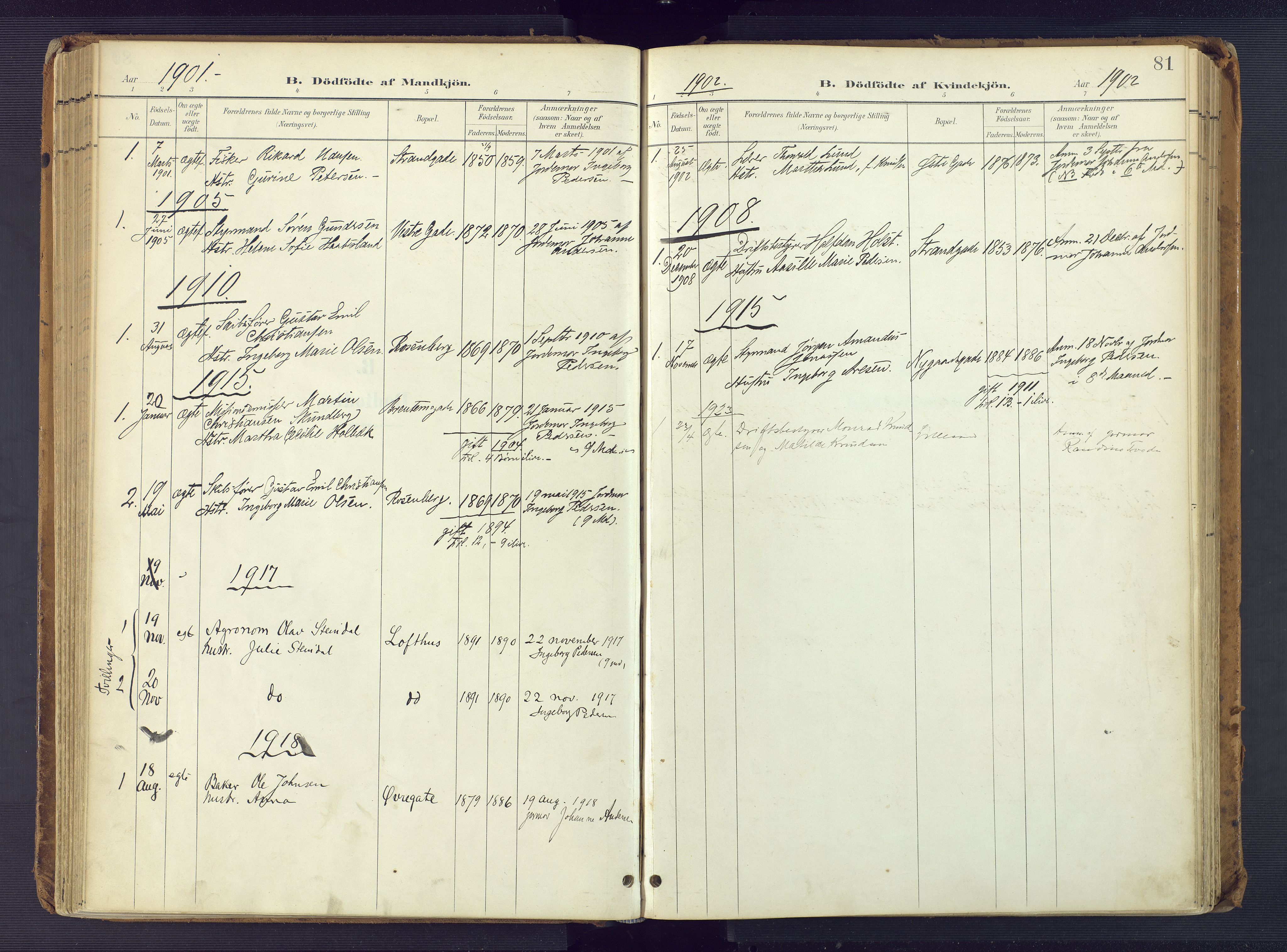 Vestre Moland sokneprestkontor, AV/SAK-1111-0046/F/Fa/Faa/L0002: Parish register (official) no. A 2, 1900-1926, p. 81