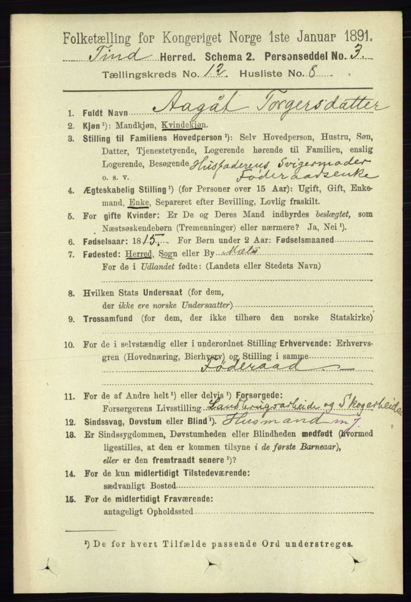 RA, 1891 census for 0826 Tinn, 1891, p. 2360