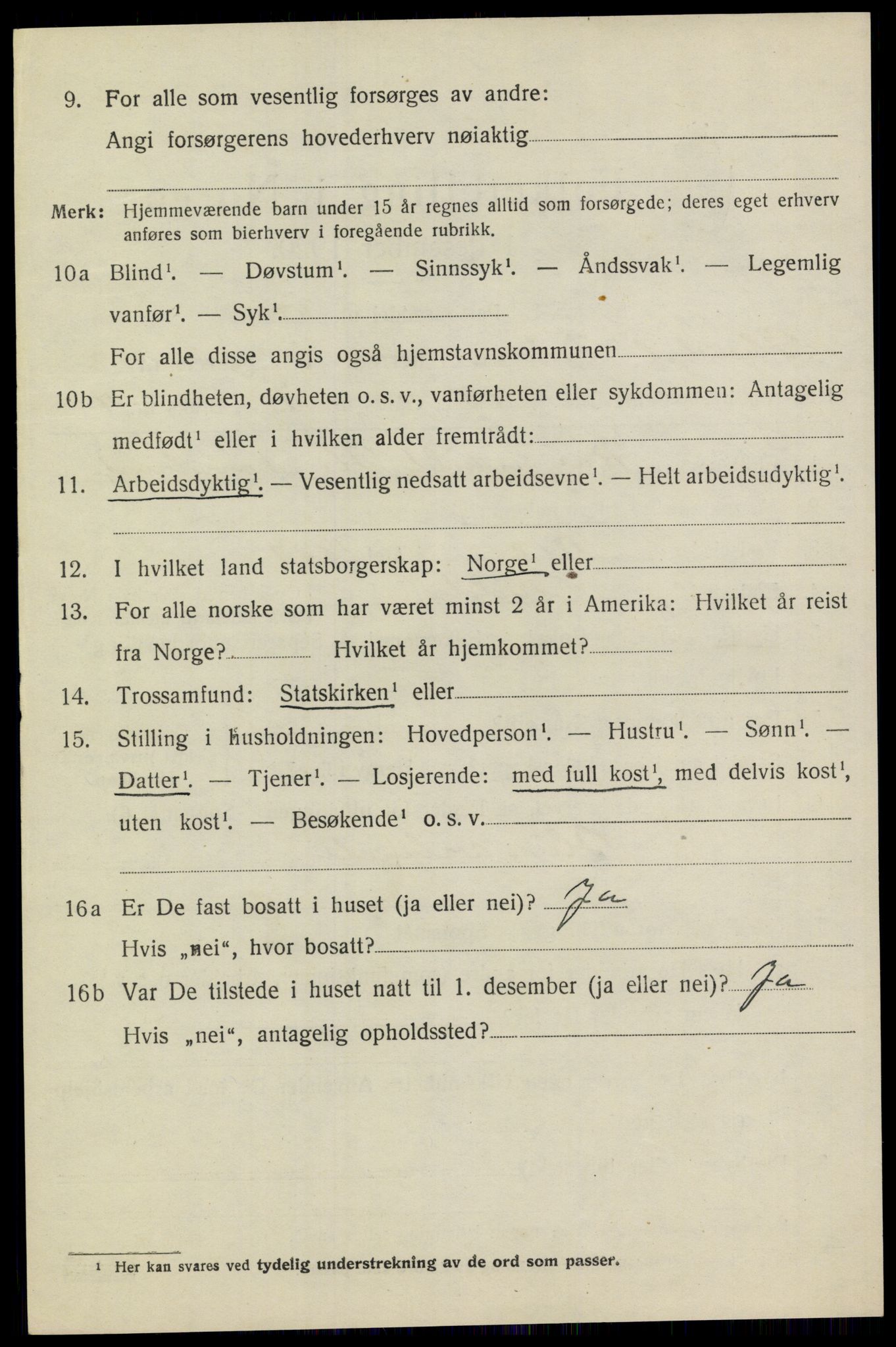 SAKO, 1920 census for Heddal, 1920, p. 4137