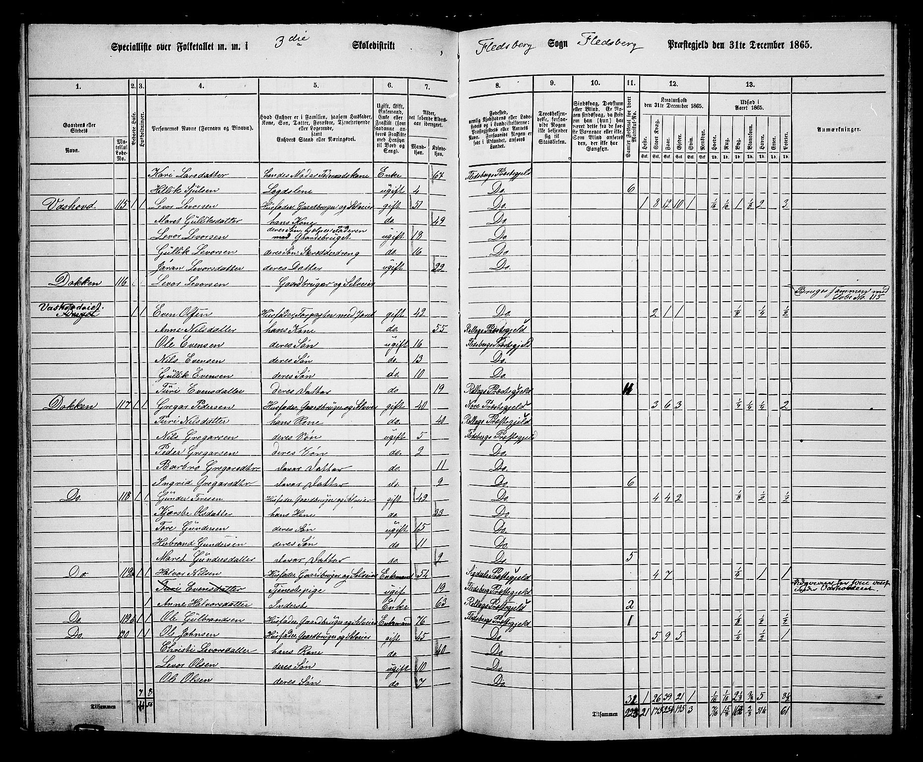 RA, 1865 census for Flesberg, 1865, p. 71