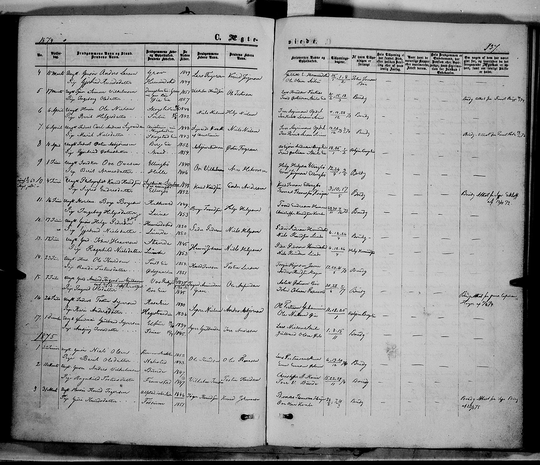Vang prestekontor, Valdres, SAH/PREST-140/H/Ha/L0007: Parish register (official) no. 7, 1865-1881, p. 137